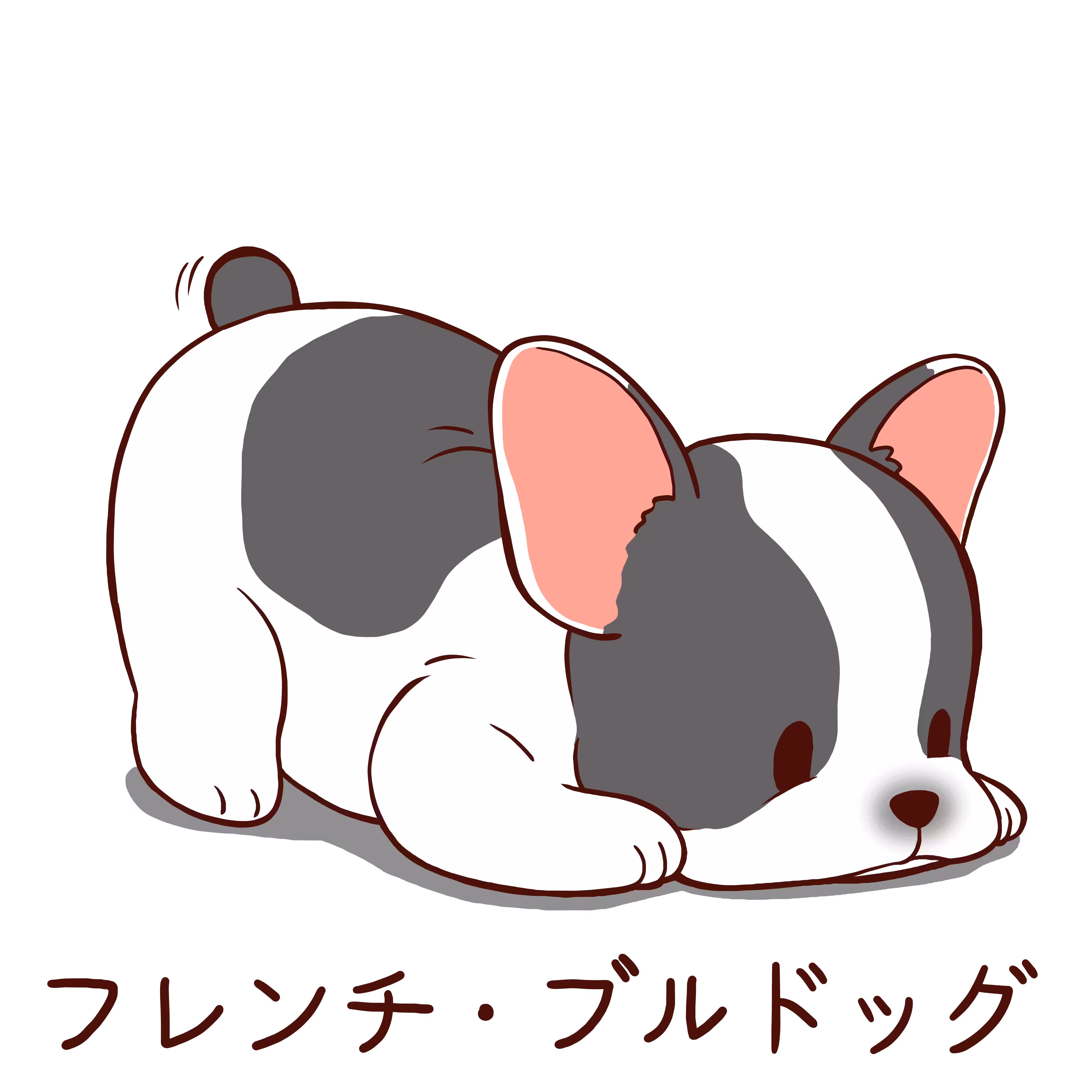 French bulldog