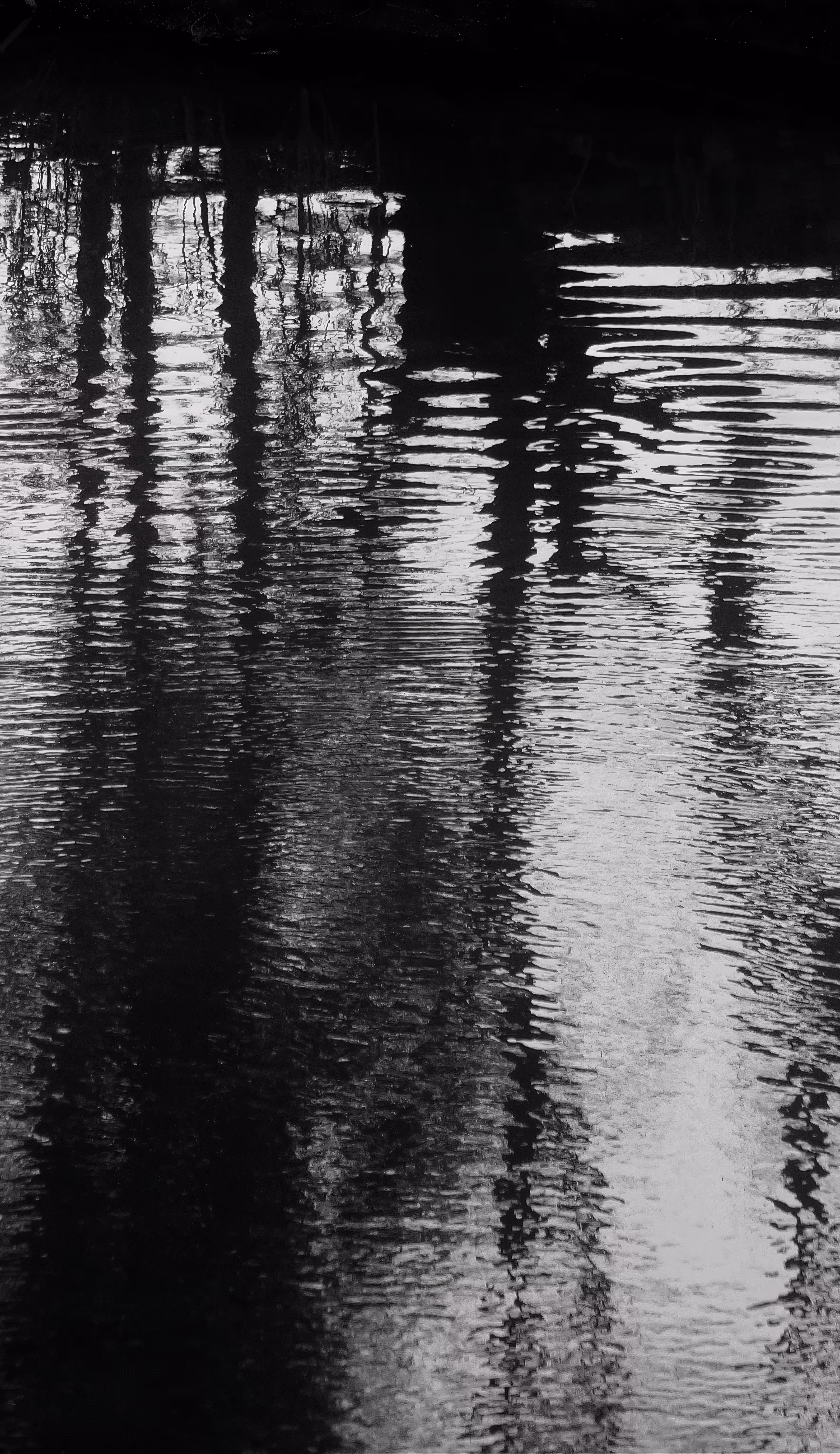 Dancing trees in the river