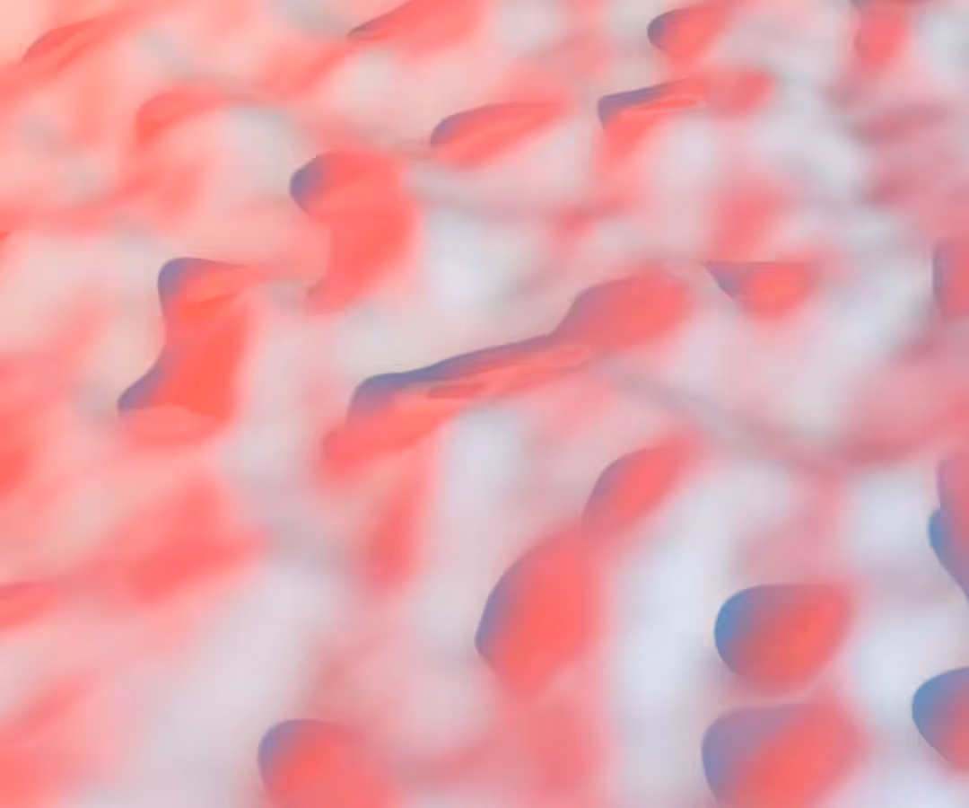 Water Waves