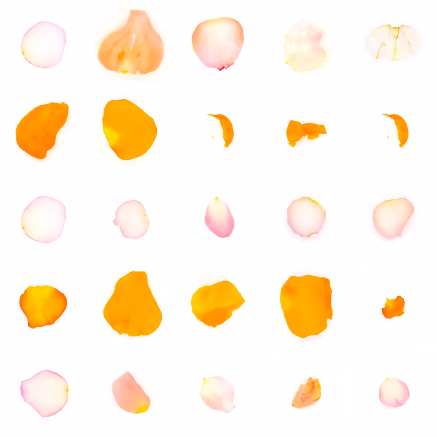 Infinite Petals 5x5#20467