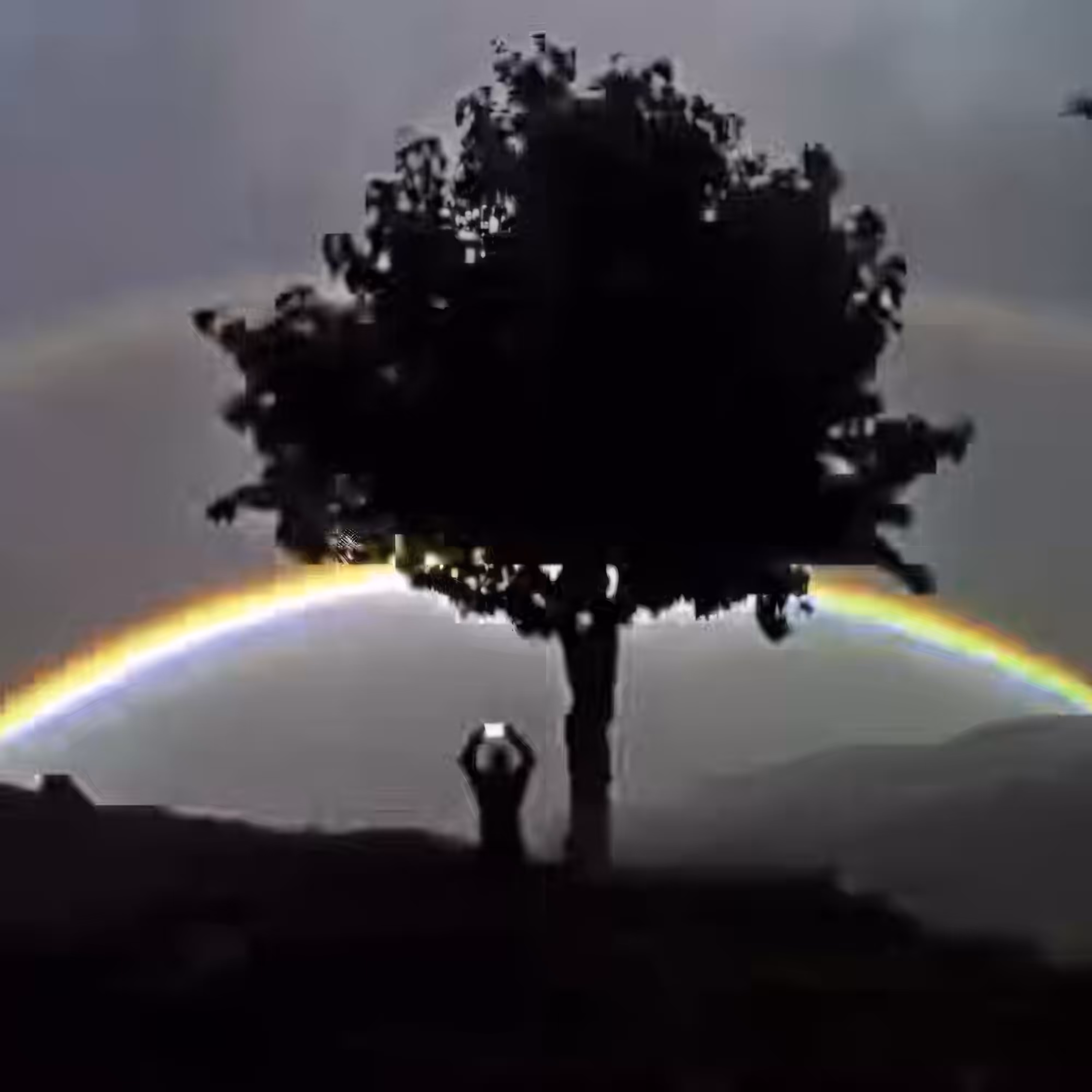 Rainbow-Pic