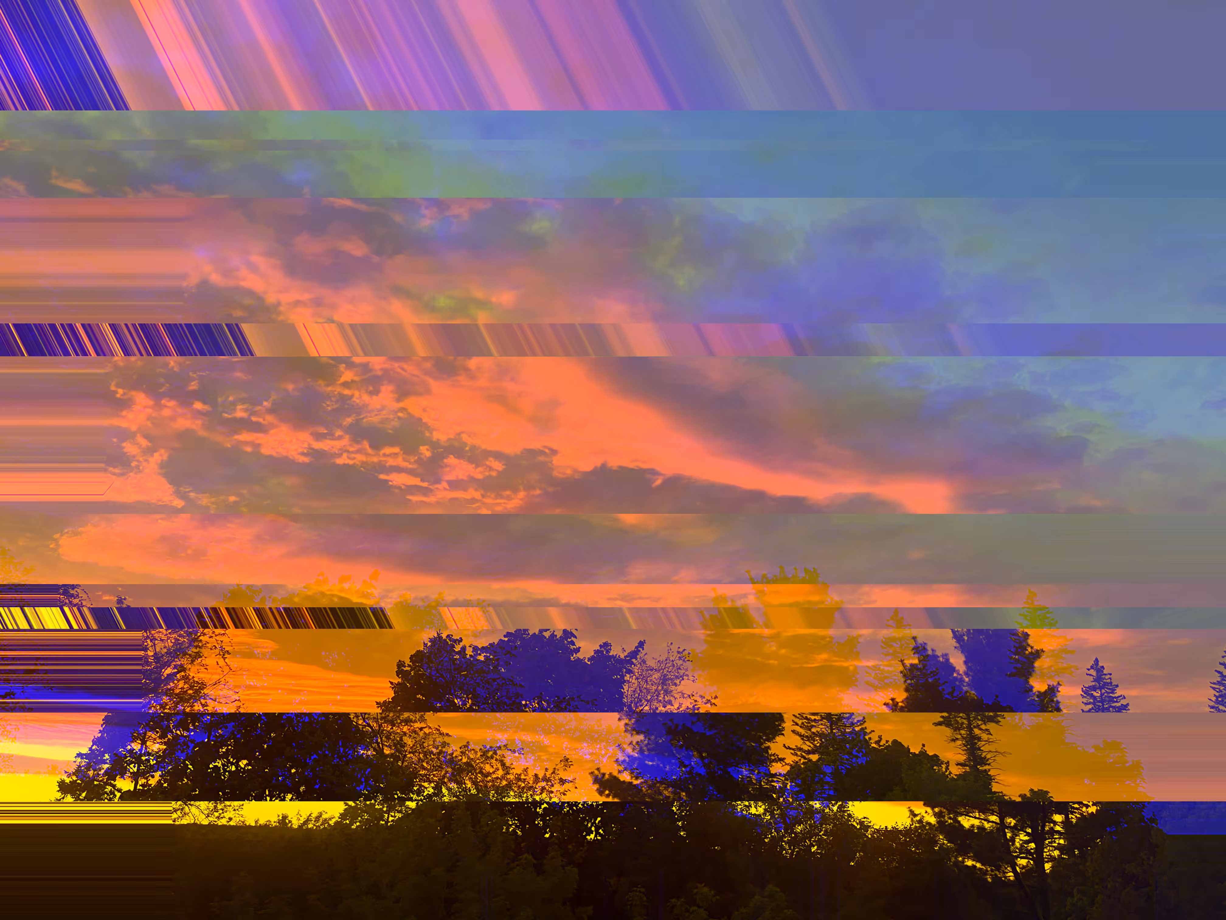 sunset behind a tree