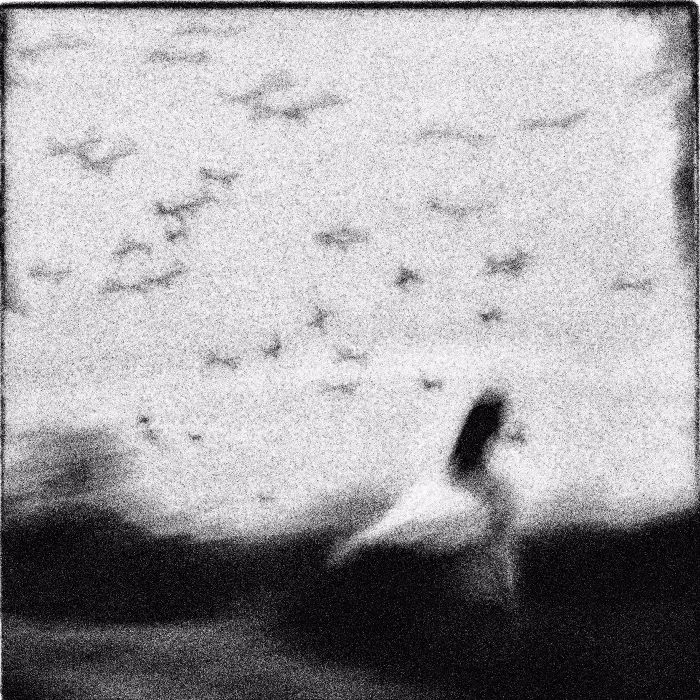 0006