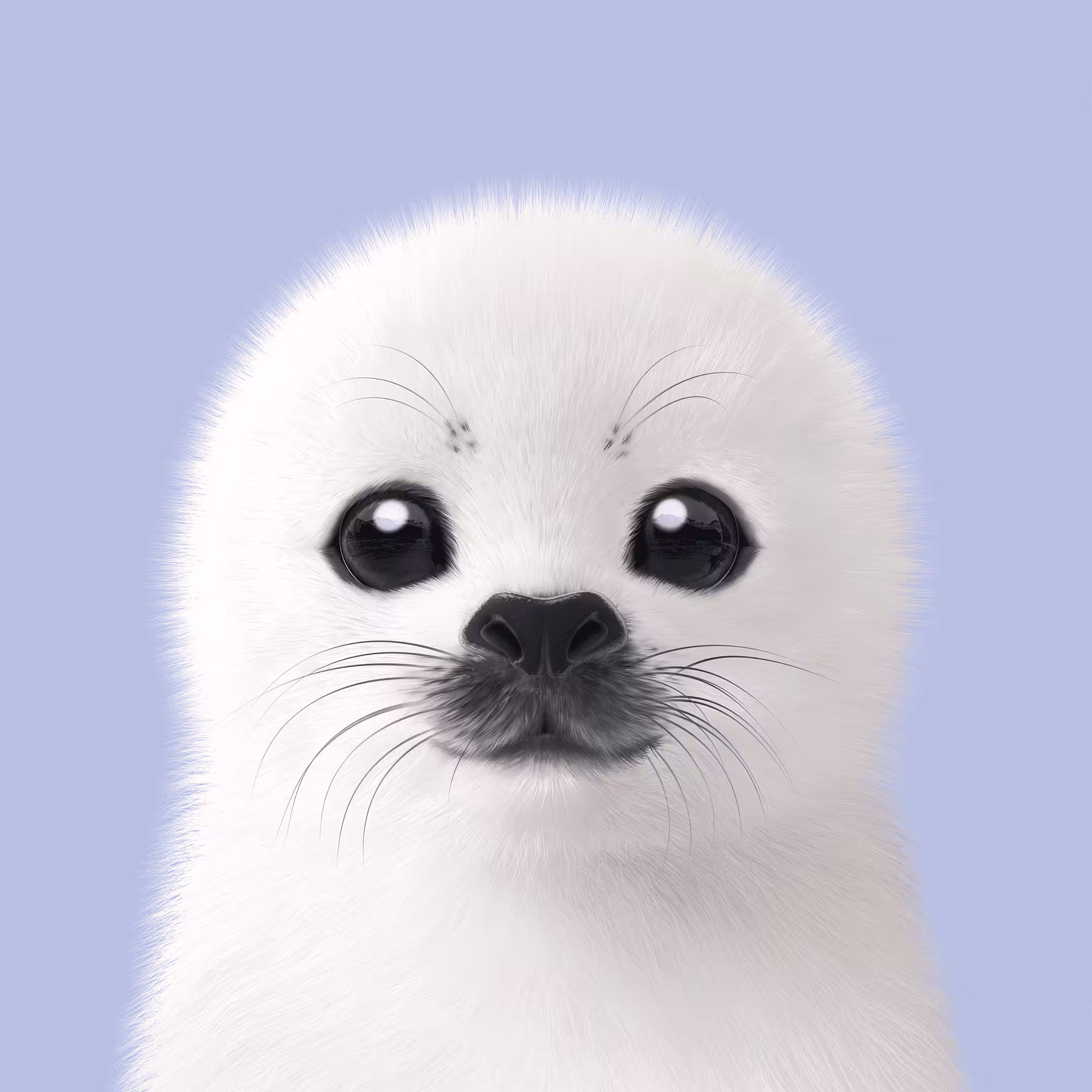 Sugar Cat & Candy Doggie: #403 Juju the Harp Seal