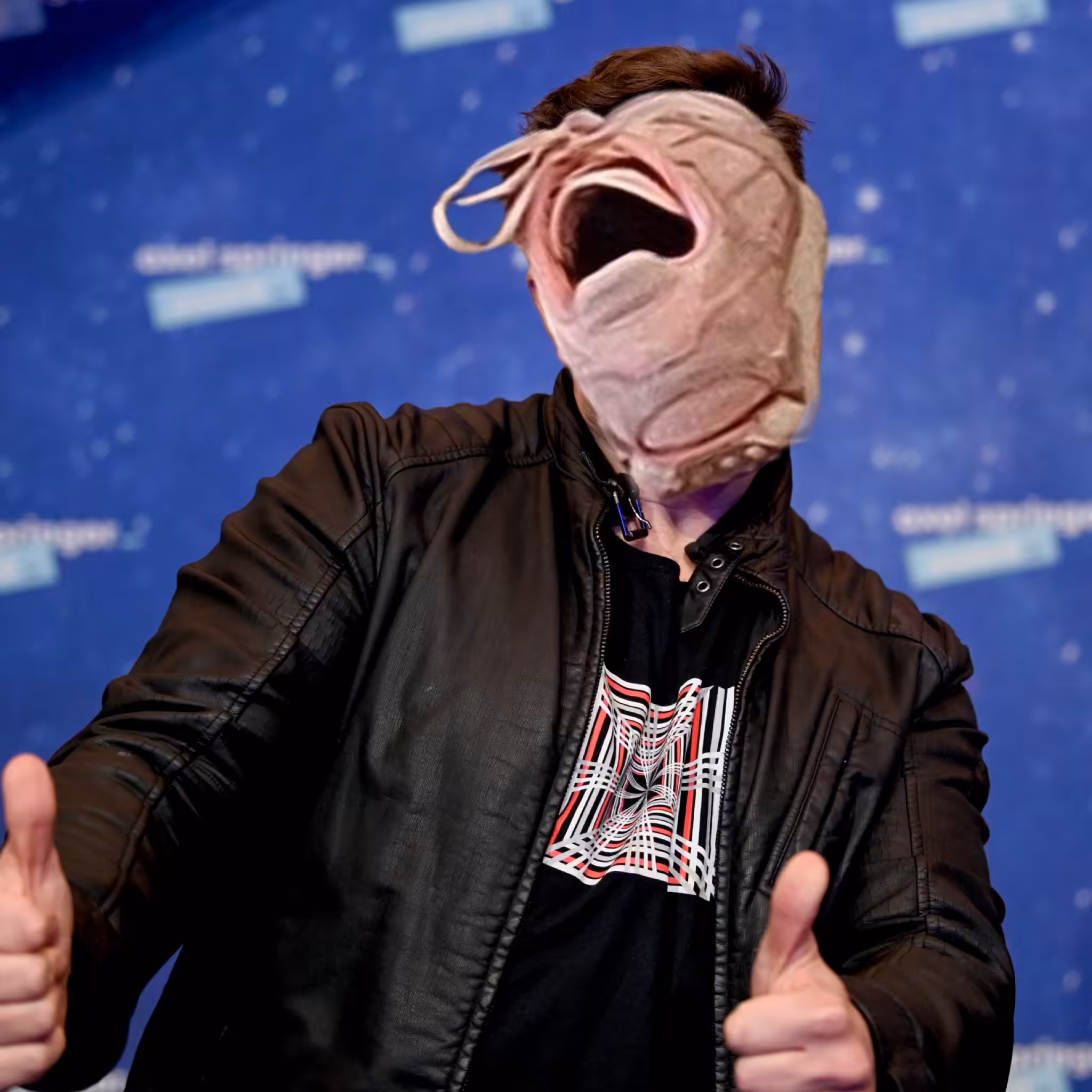 ShoeFace: ElonShoe