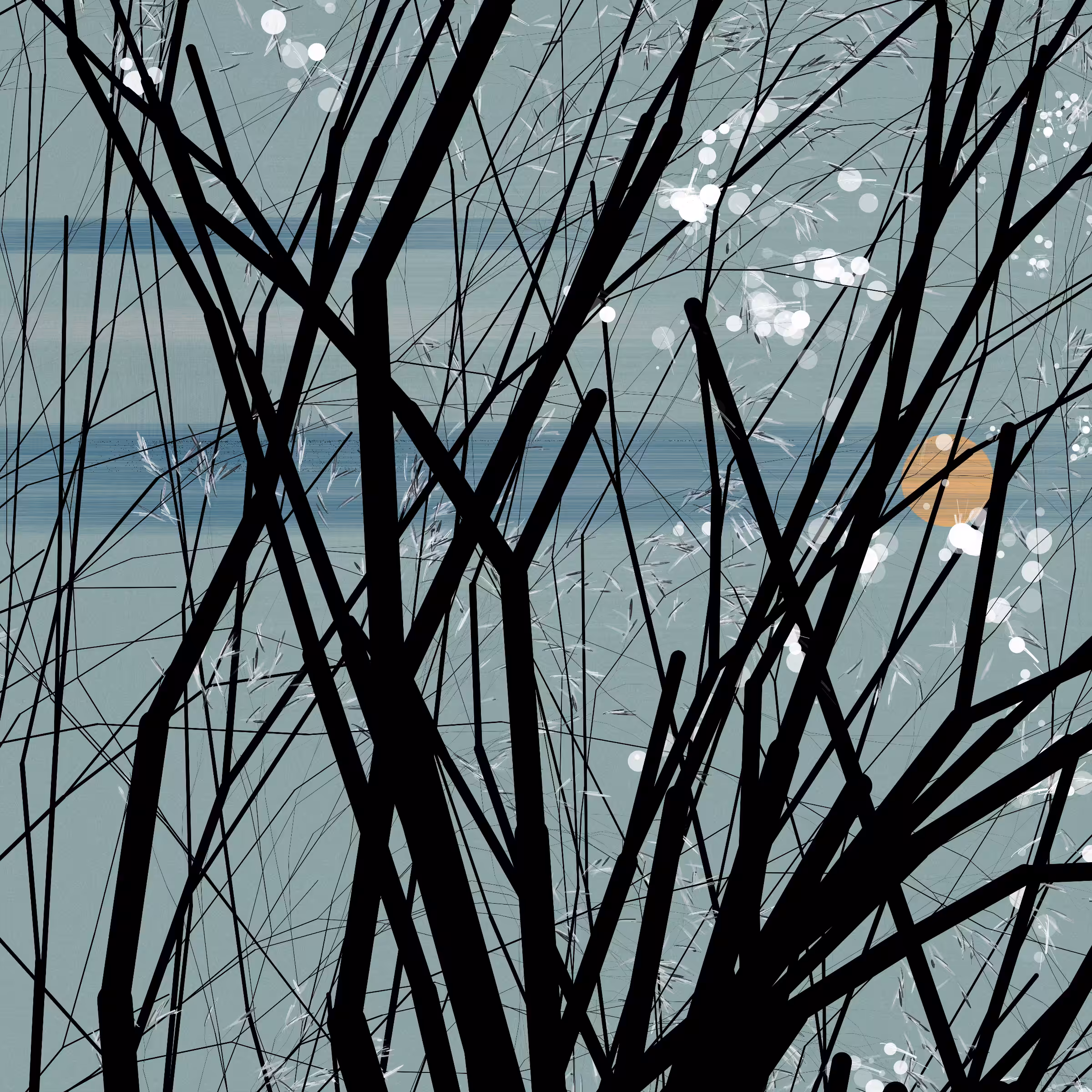 conversation with the wind #163