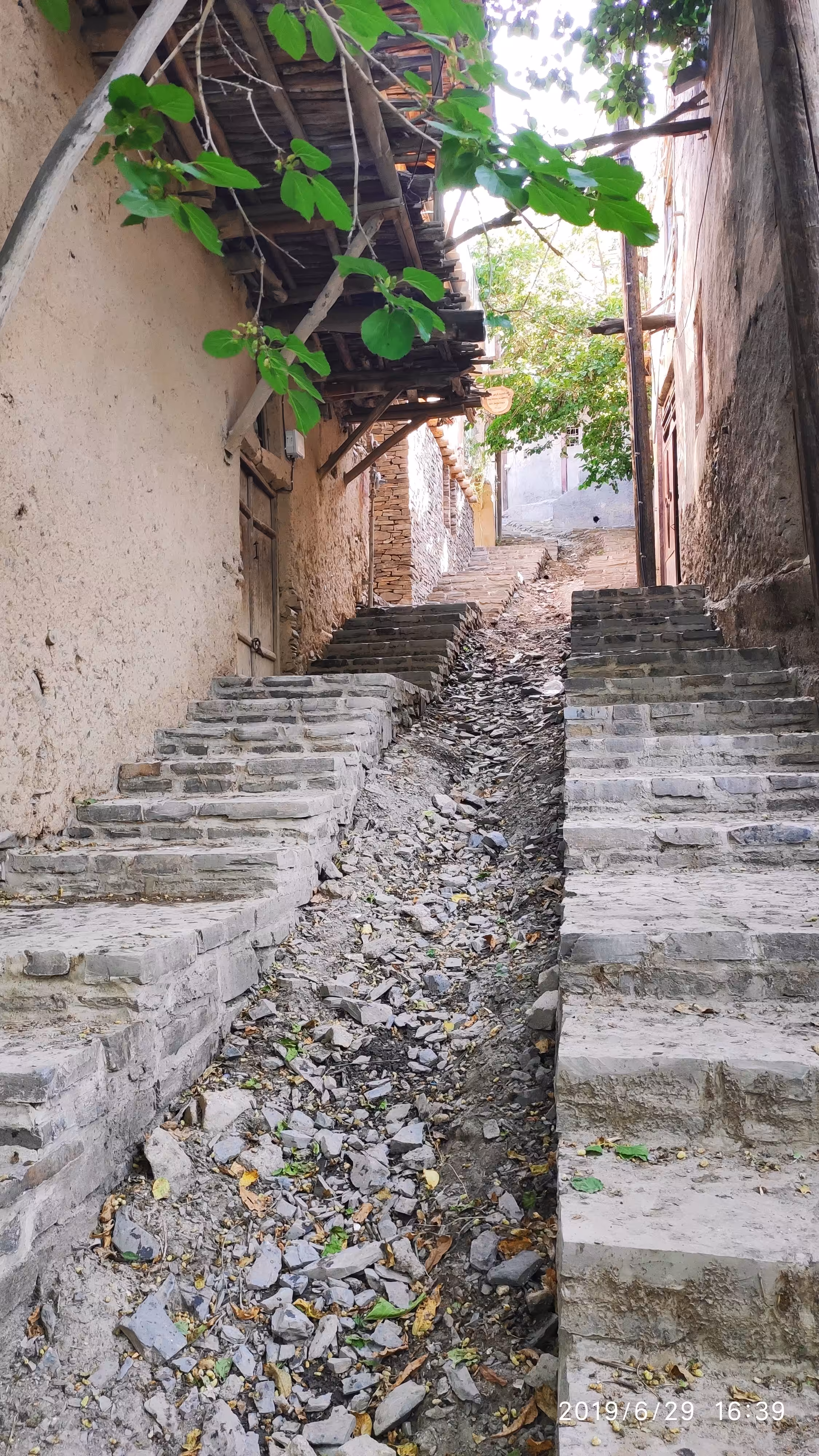Garden Alley