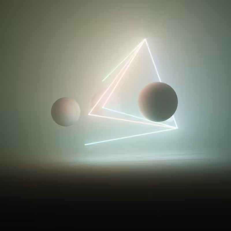 Wandering Nets #5