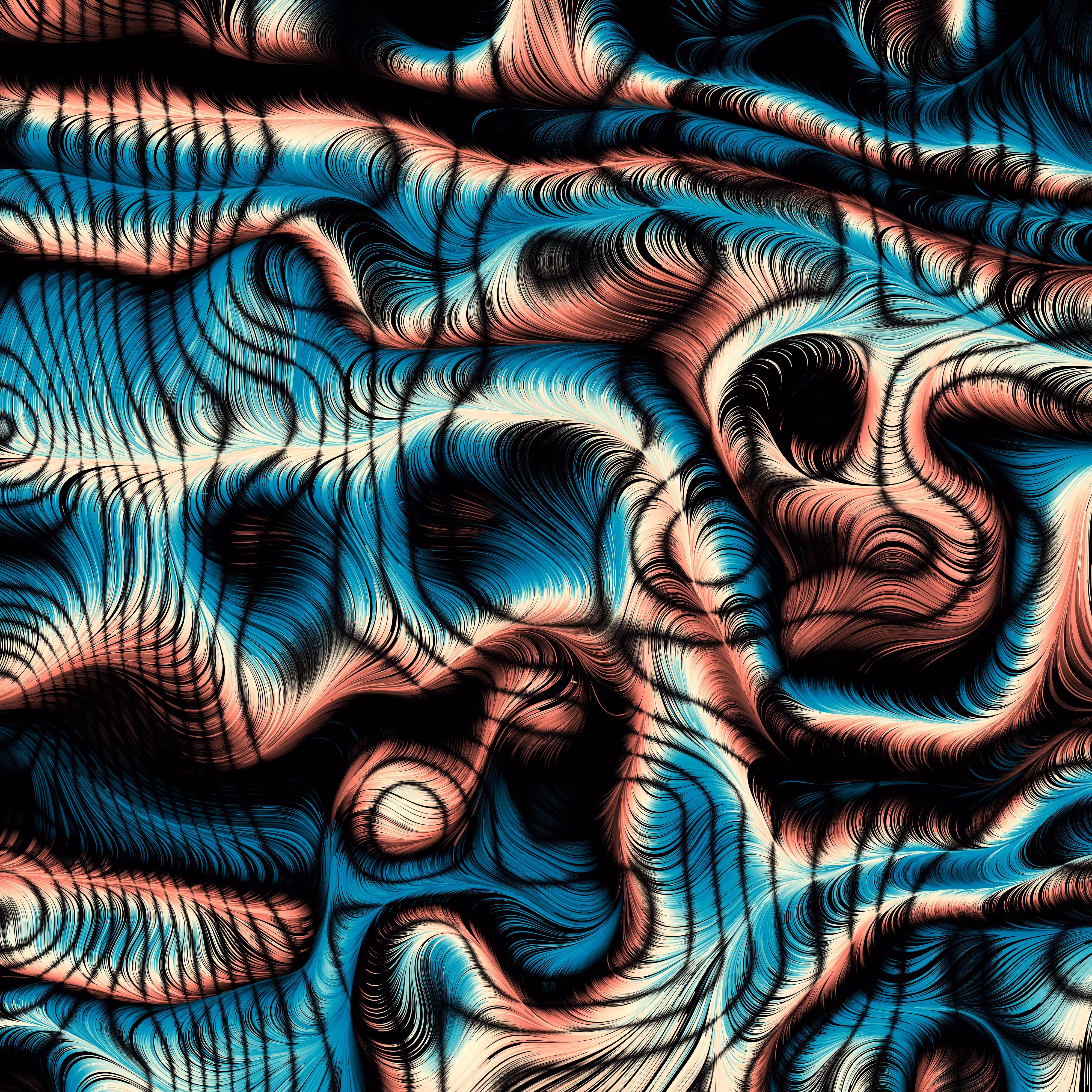 Veritable #64