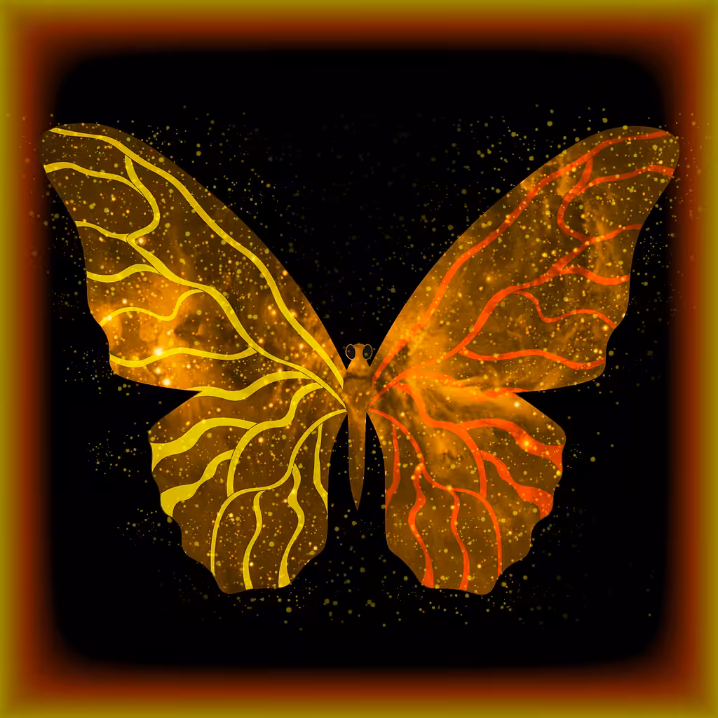 ✦《 DESIRE_BUTTERFLY ▸ exe 》✦
