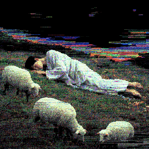 The Shepherd Sleeps