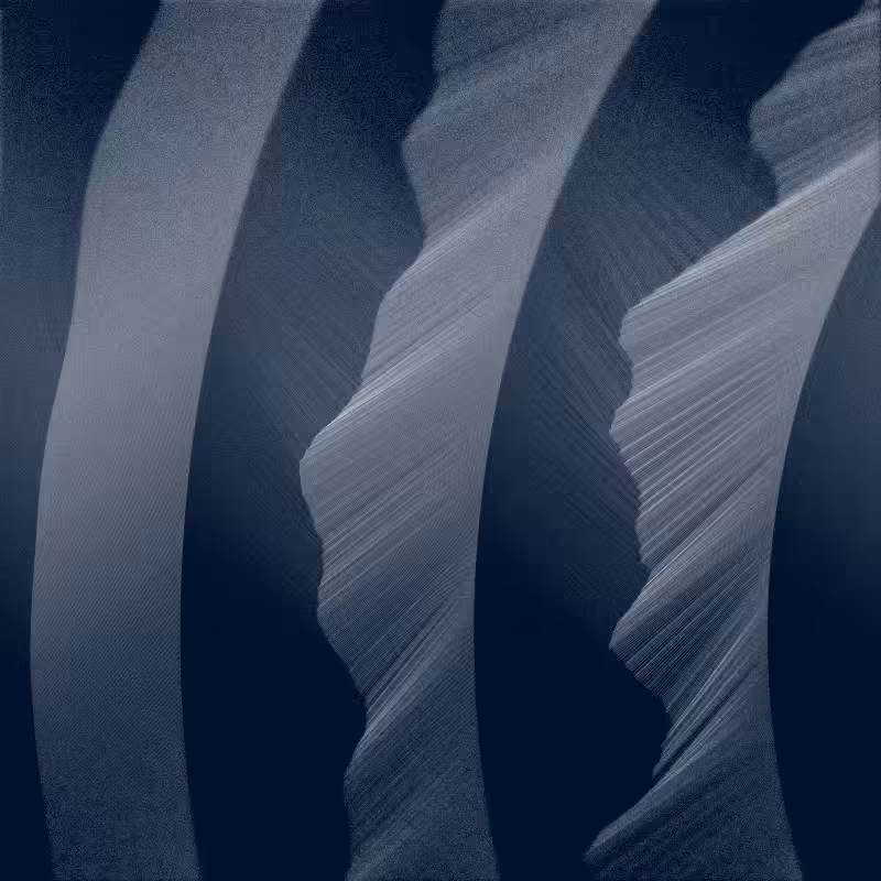 Microsillon #5