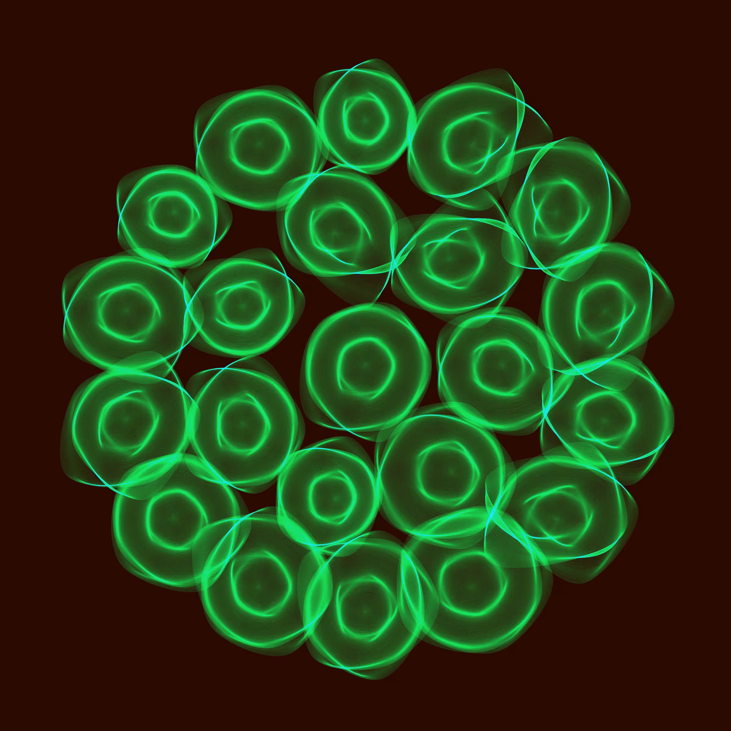 Flowers #5646
