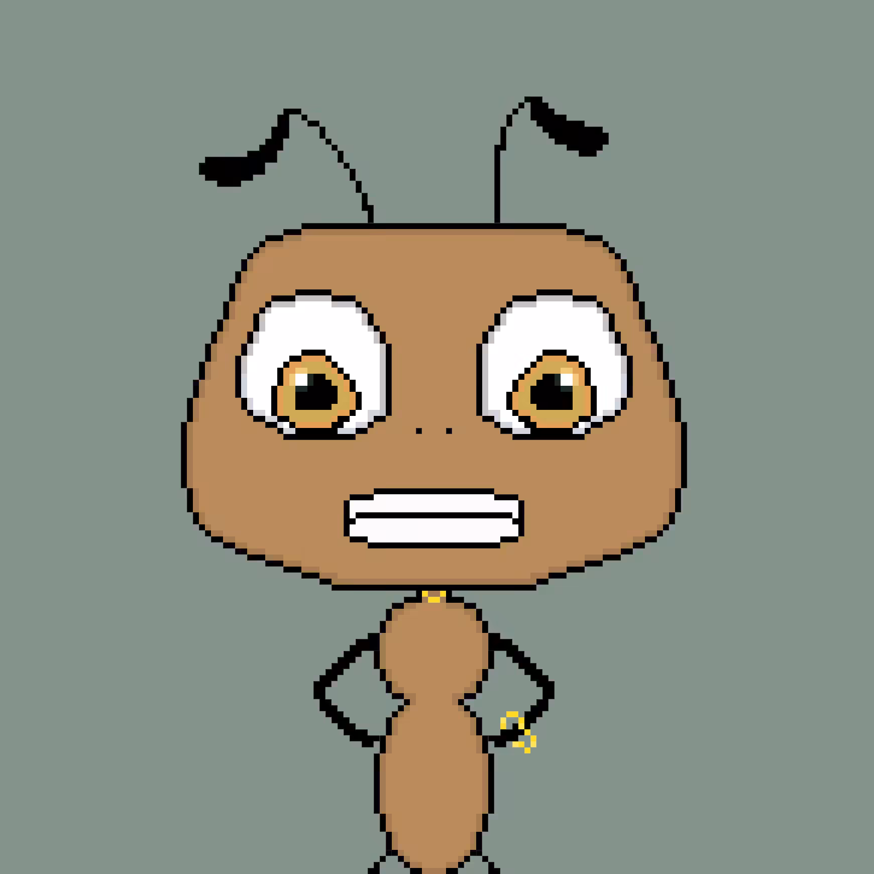 LIL Ants 023