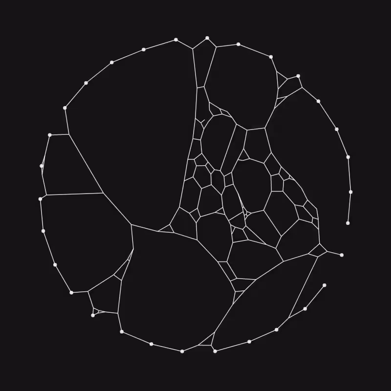 Elastic Web #226