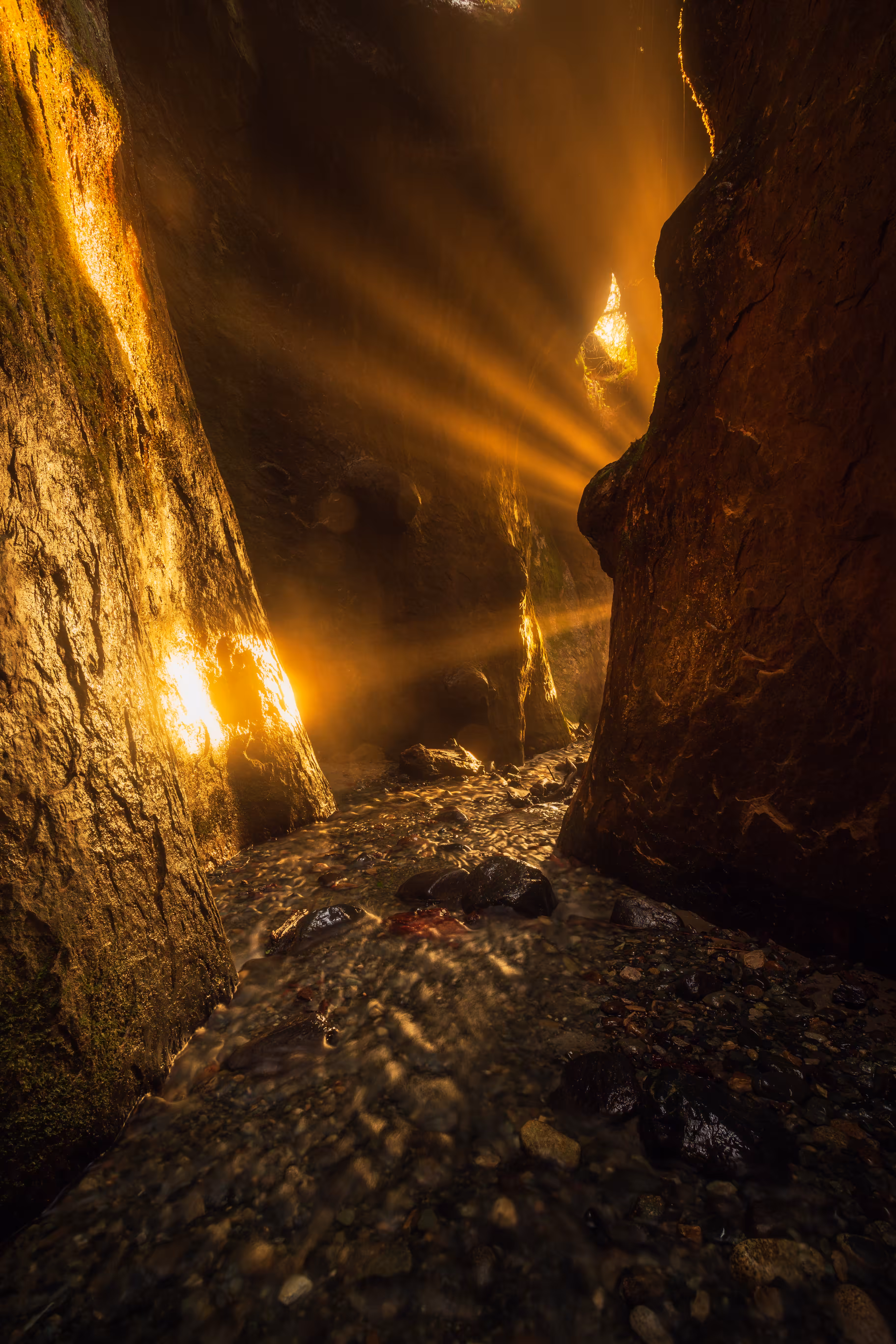 Path of Gold