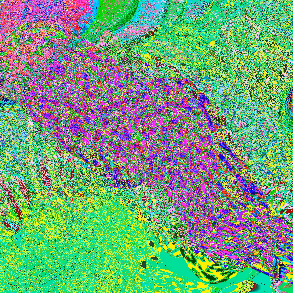 Einstein-Rosen Memories #21