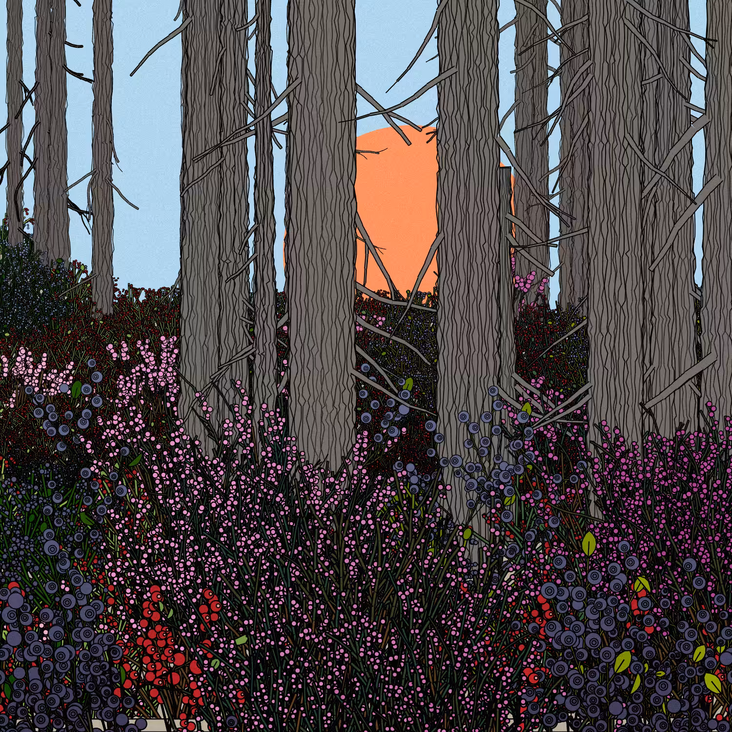 Swedish Forest #107