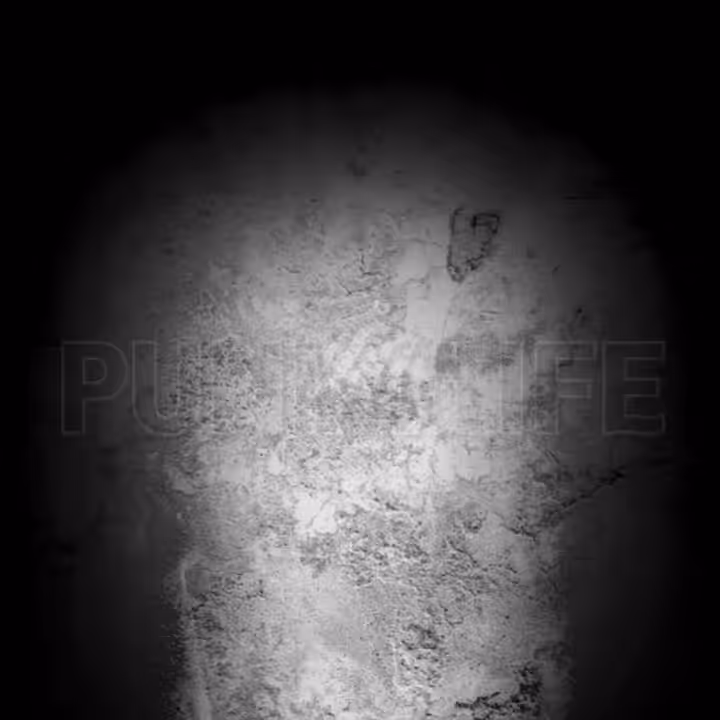 Punk 4 Life