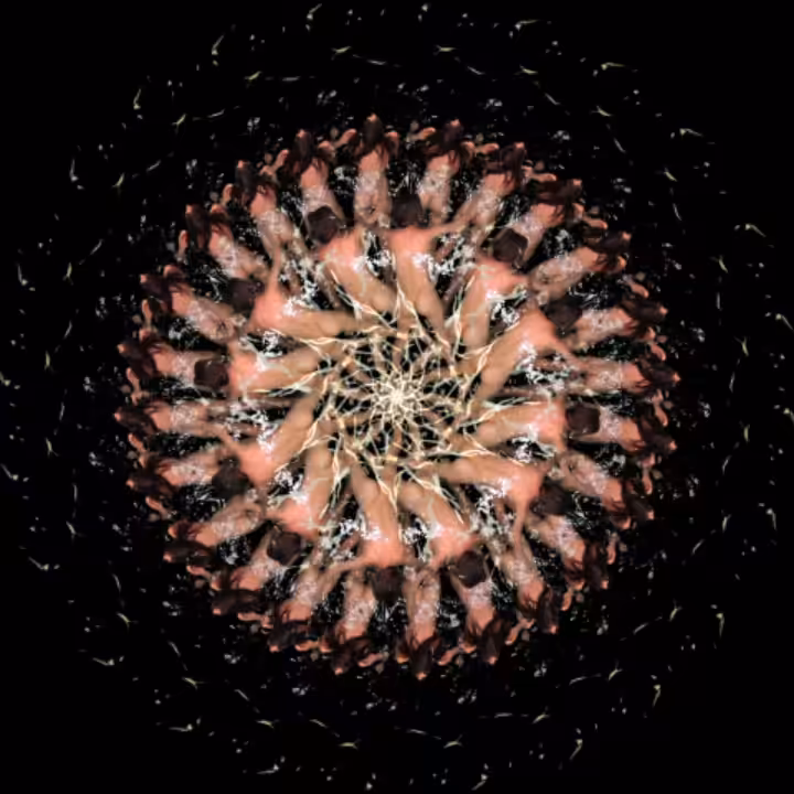 swimming circle #2