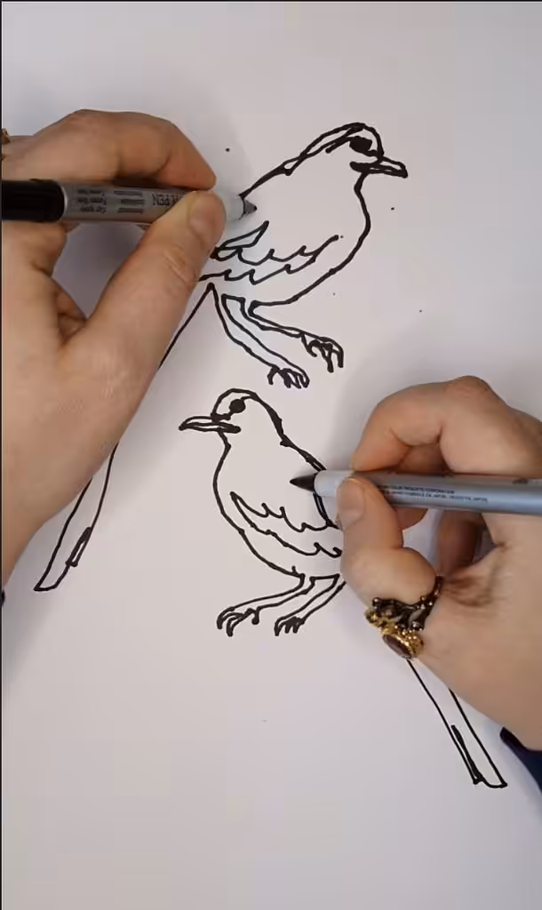 Magpies 