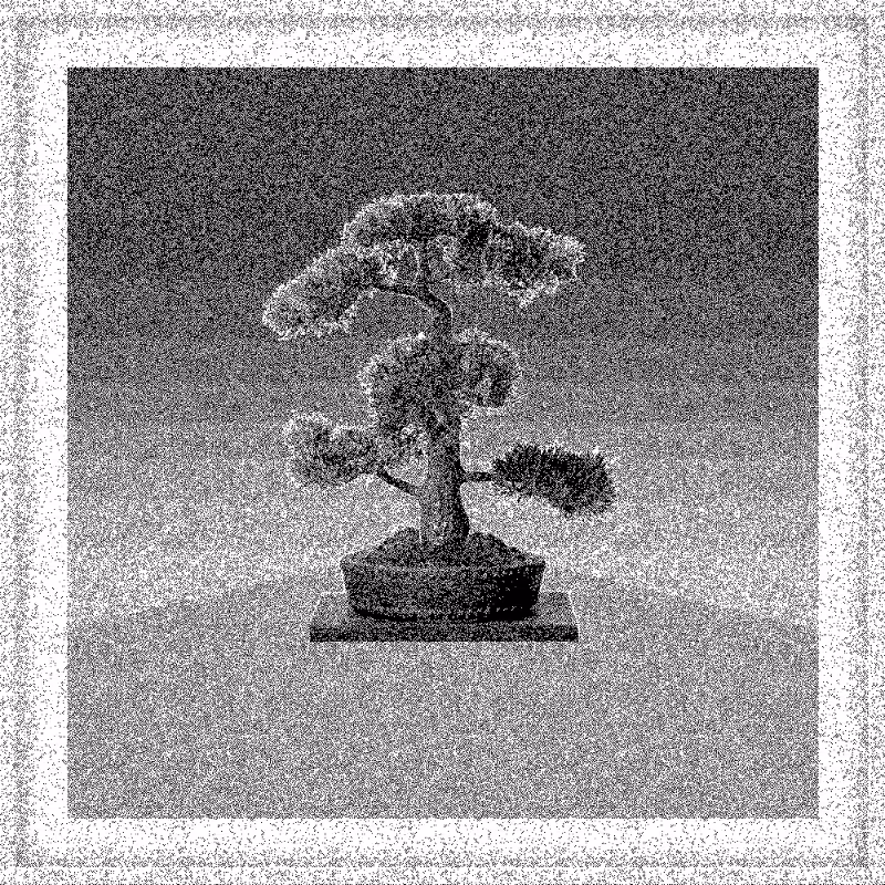 Bonsai Bonanza #276