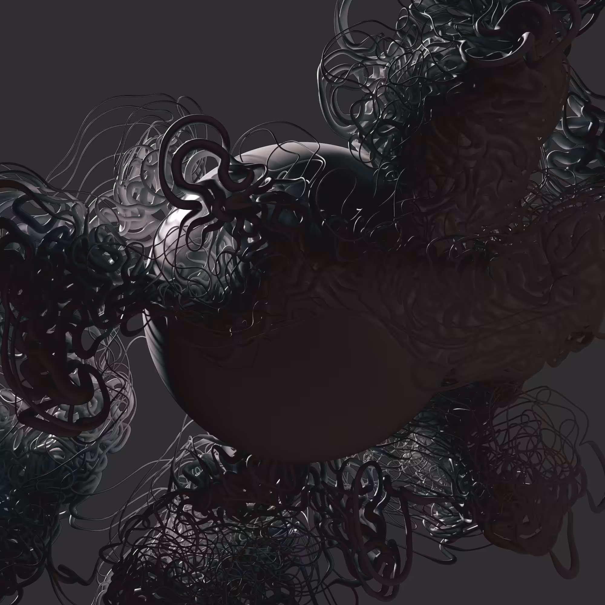 Polymorph: Node