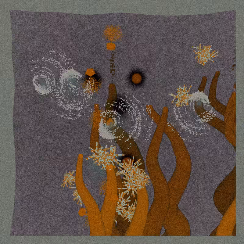 Sea Anemone #24