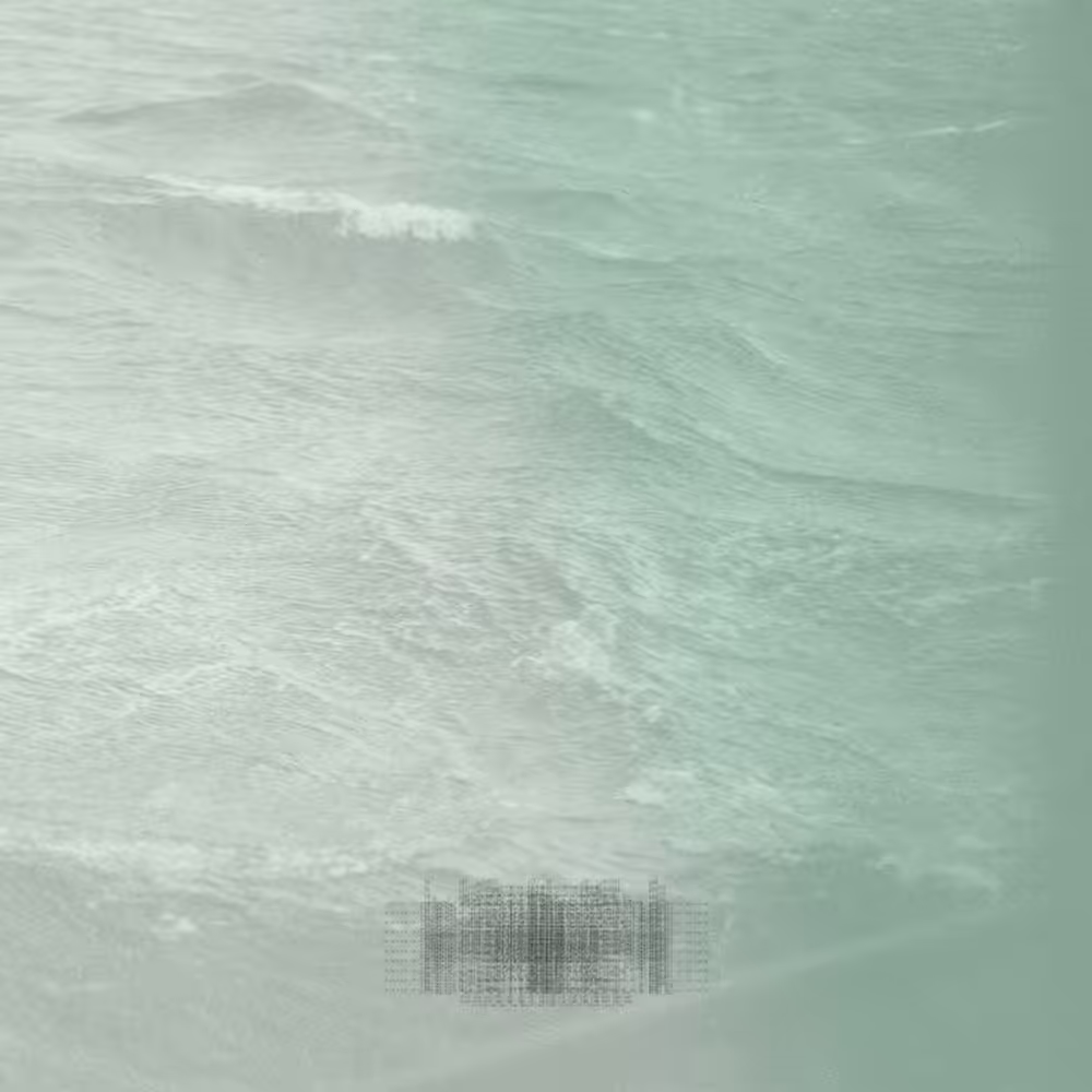 #117