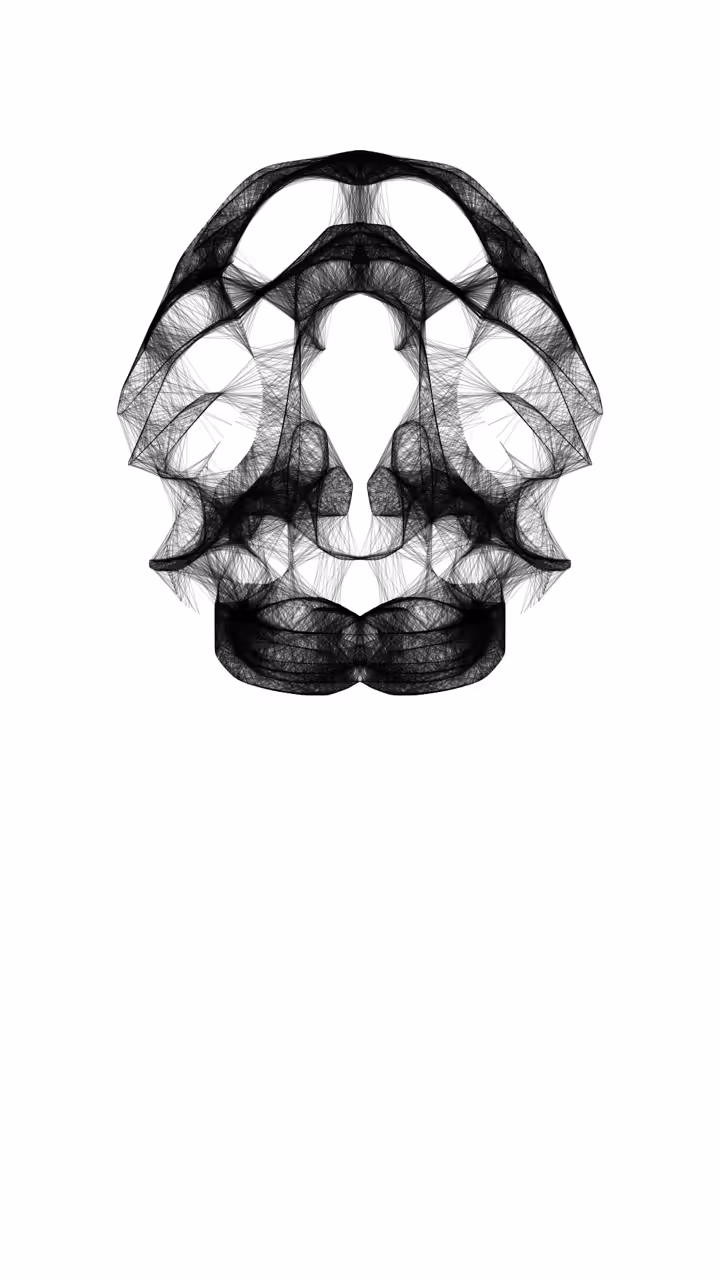 Anatomy