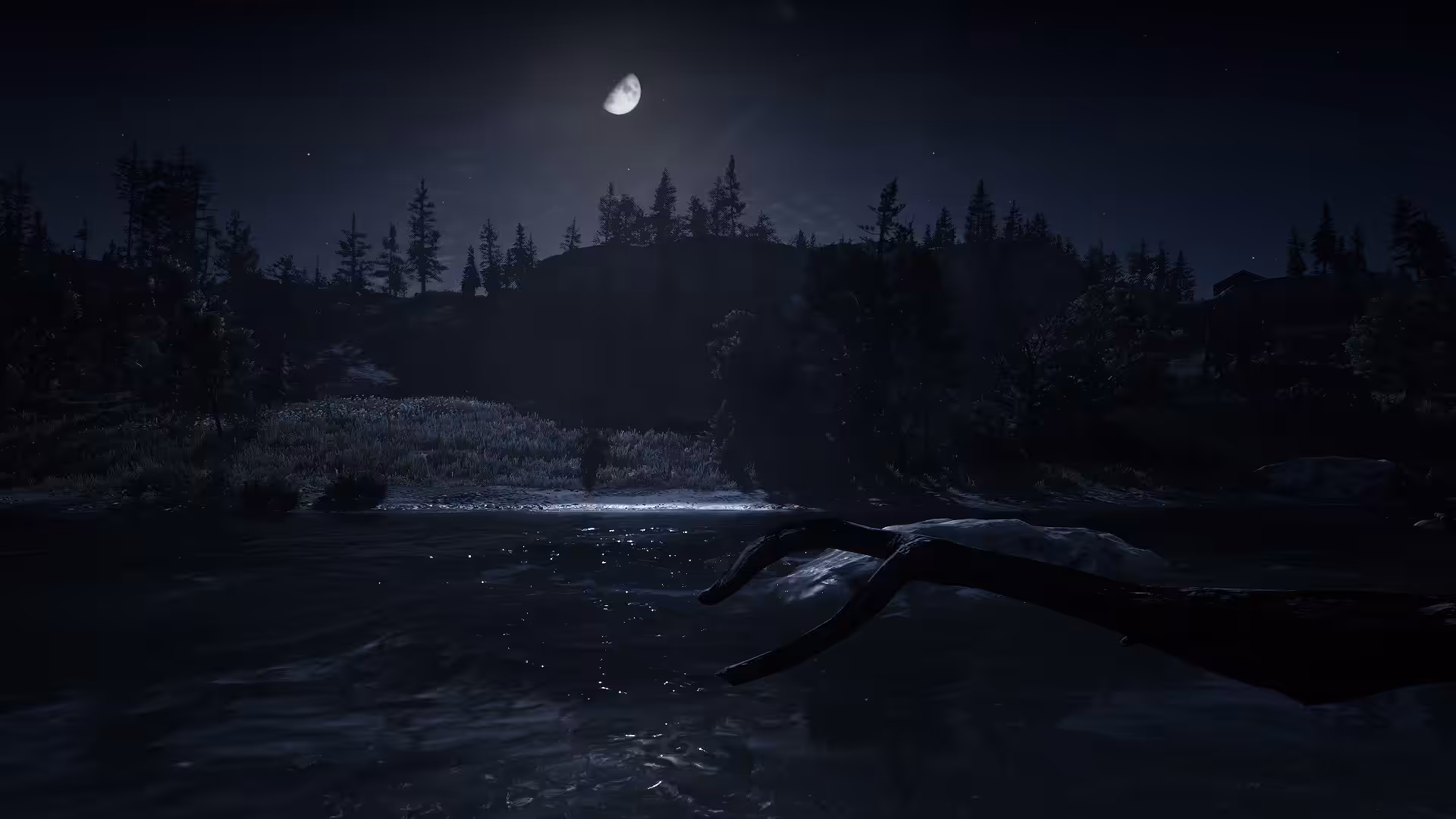 Tracks into Silence