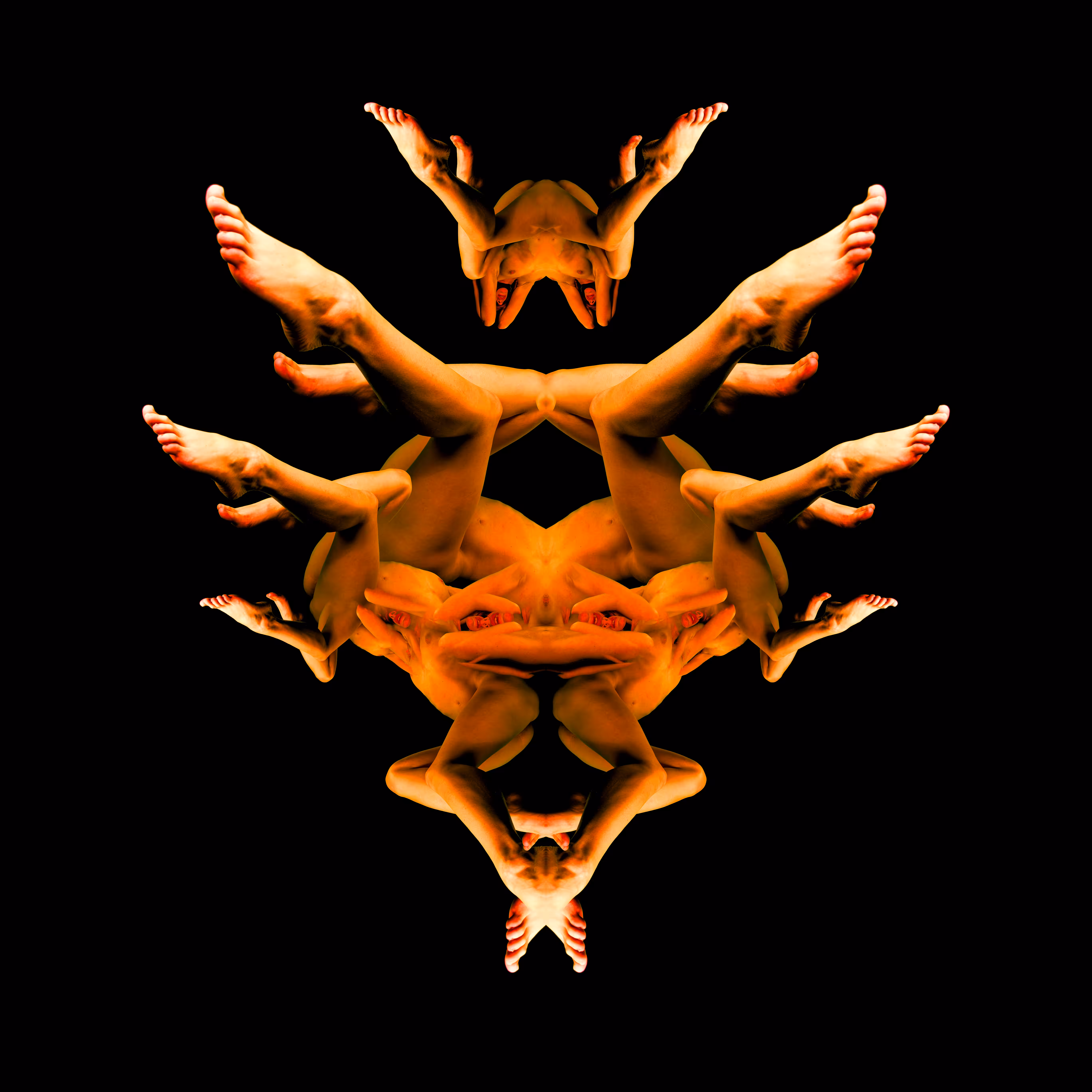 Тot the symmetry of the human body