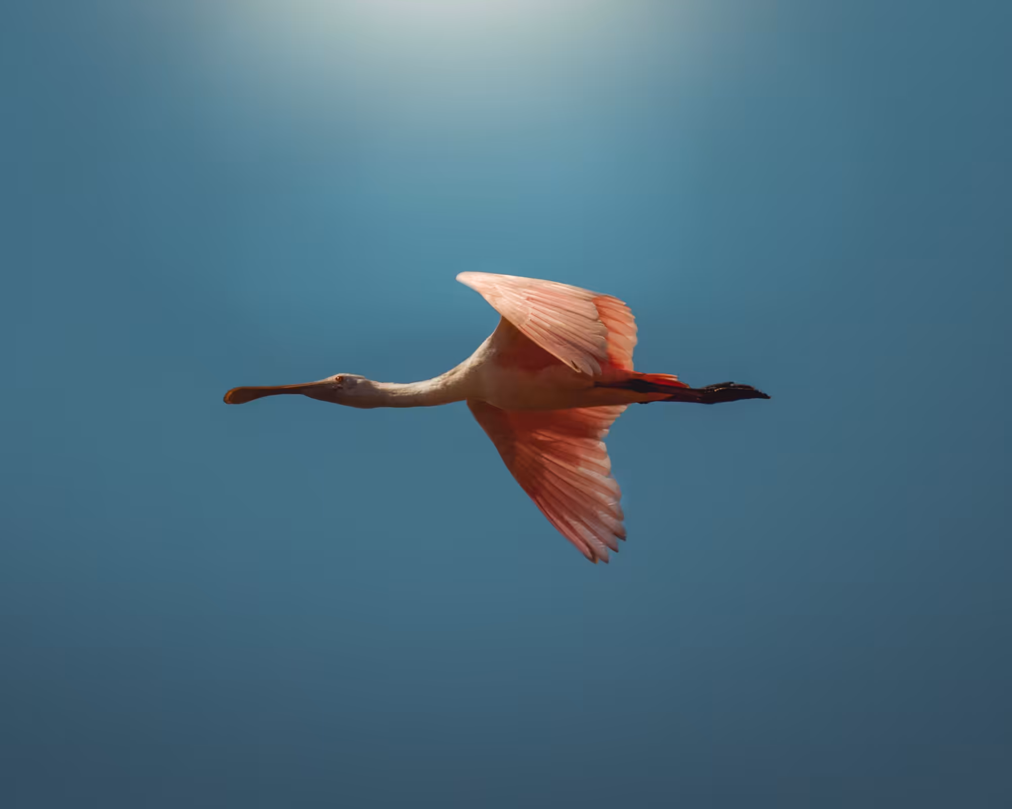 Flyby
