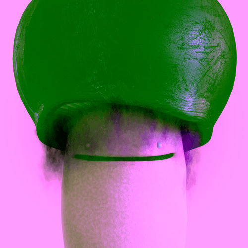 The FUNGIBLE's: FUNGIBLE #0003