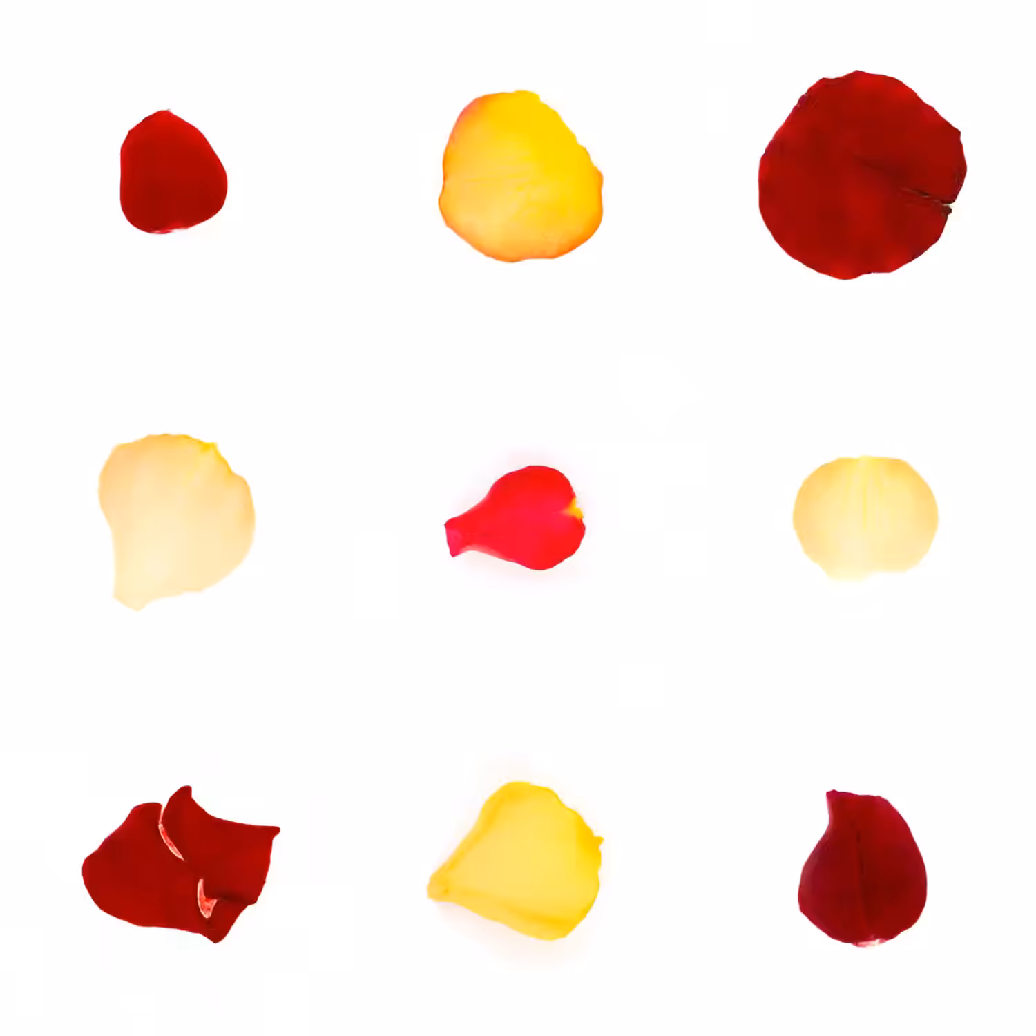 Infinite Petals 3x3#1244