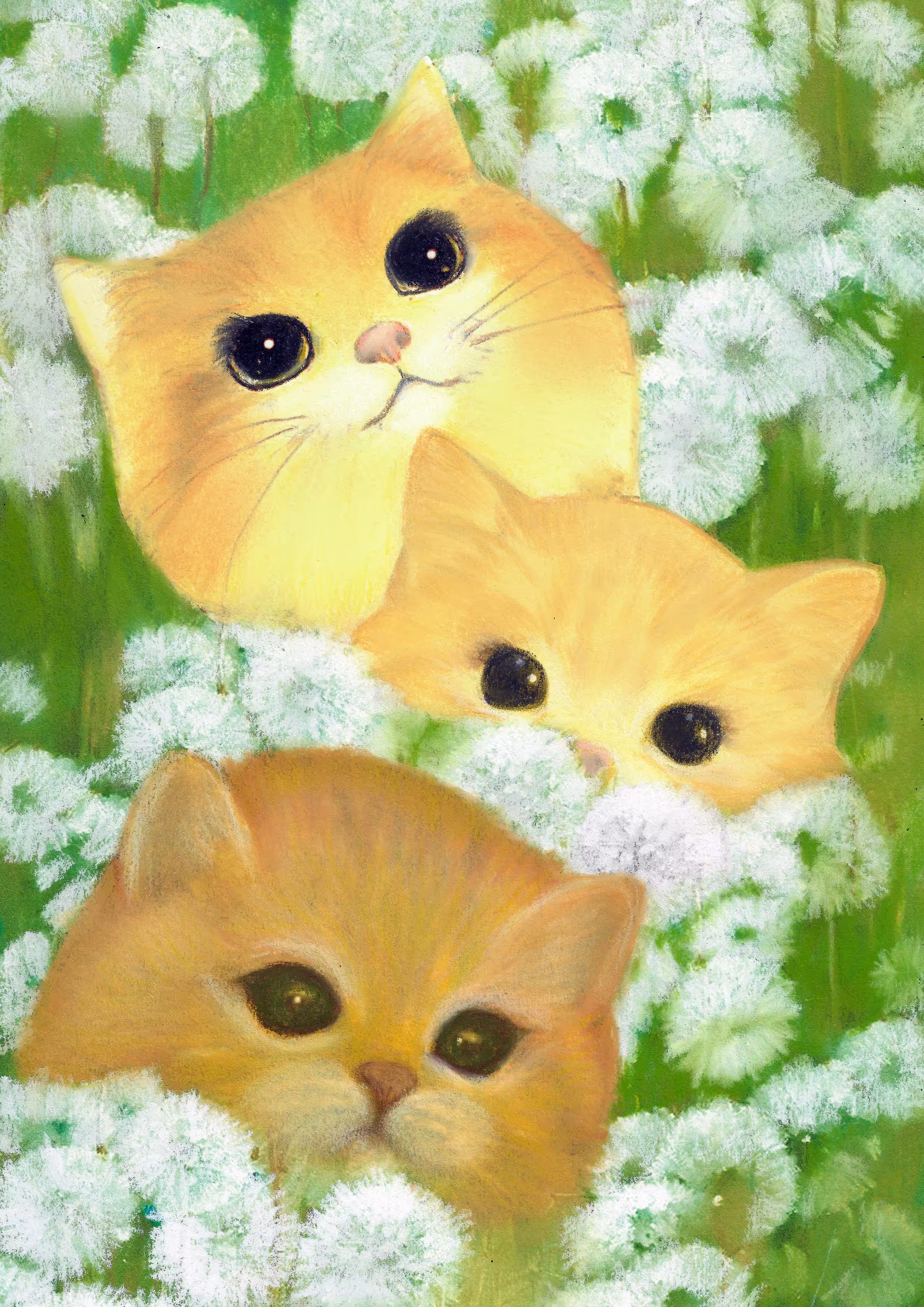 Dandelions