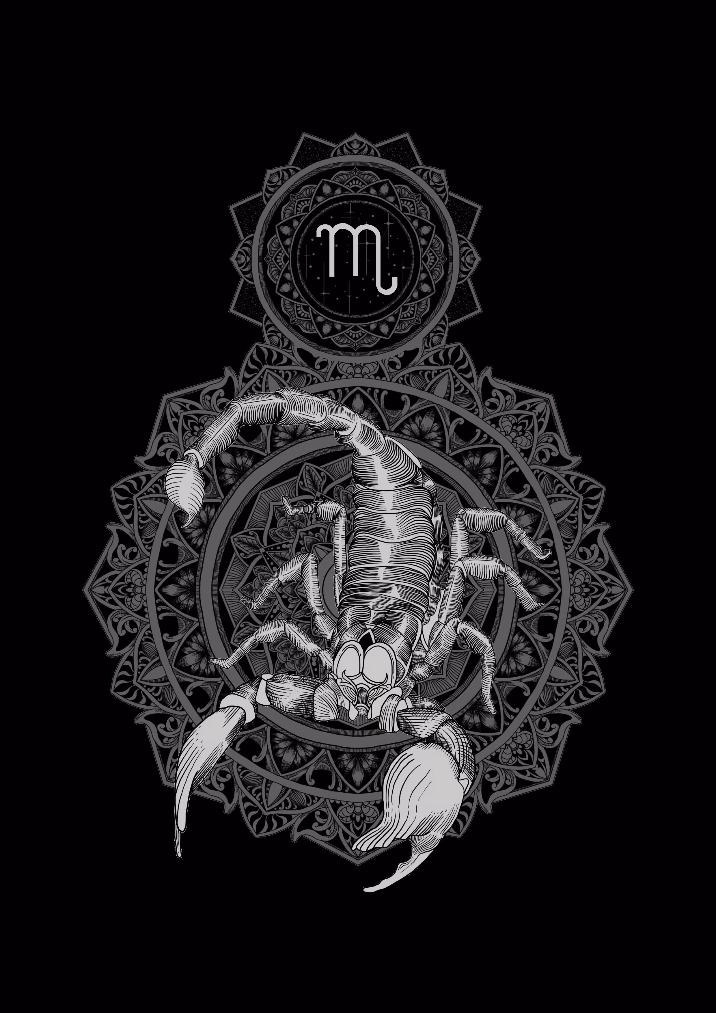 Scorpio Full Circle 