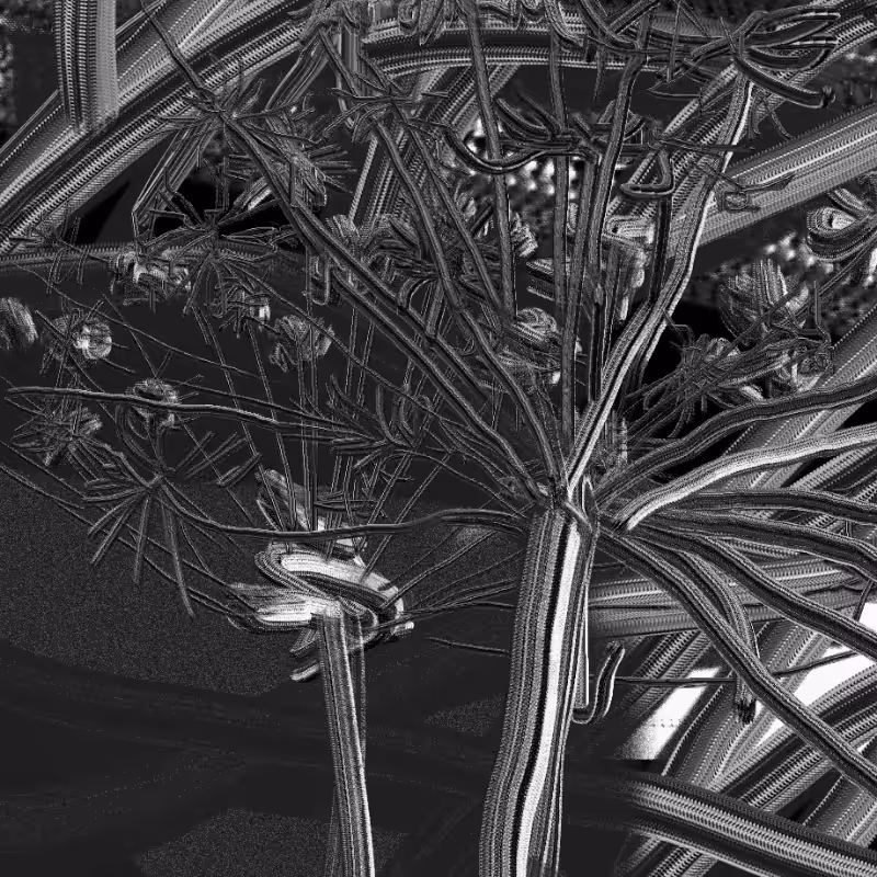 Dry grass #2