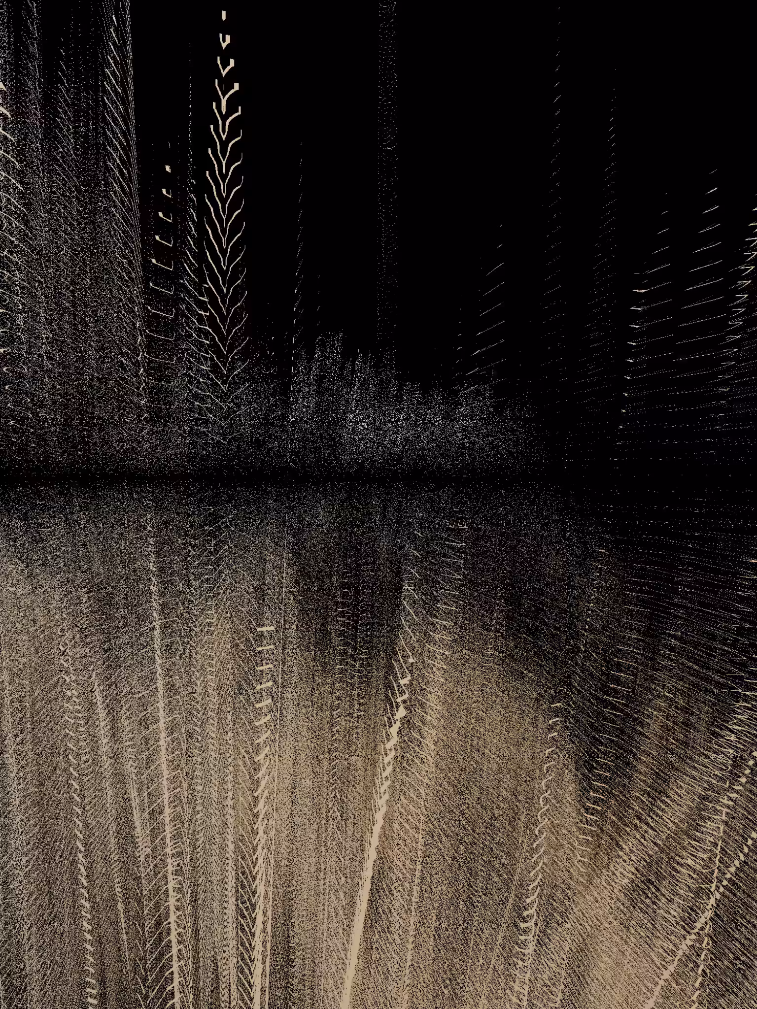 Patterns
