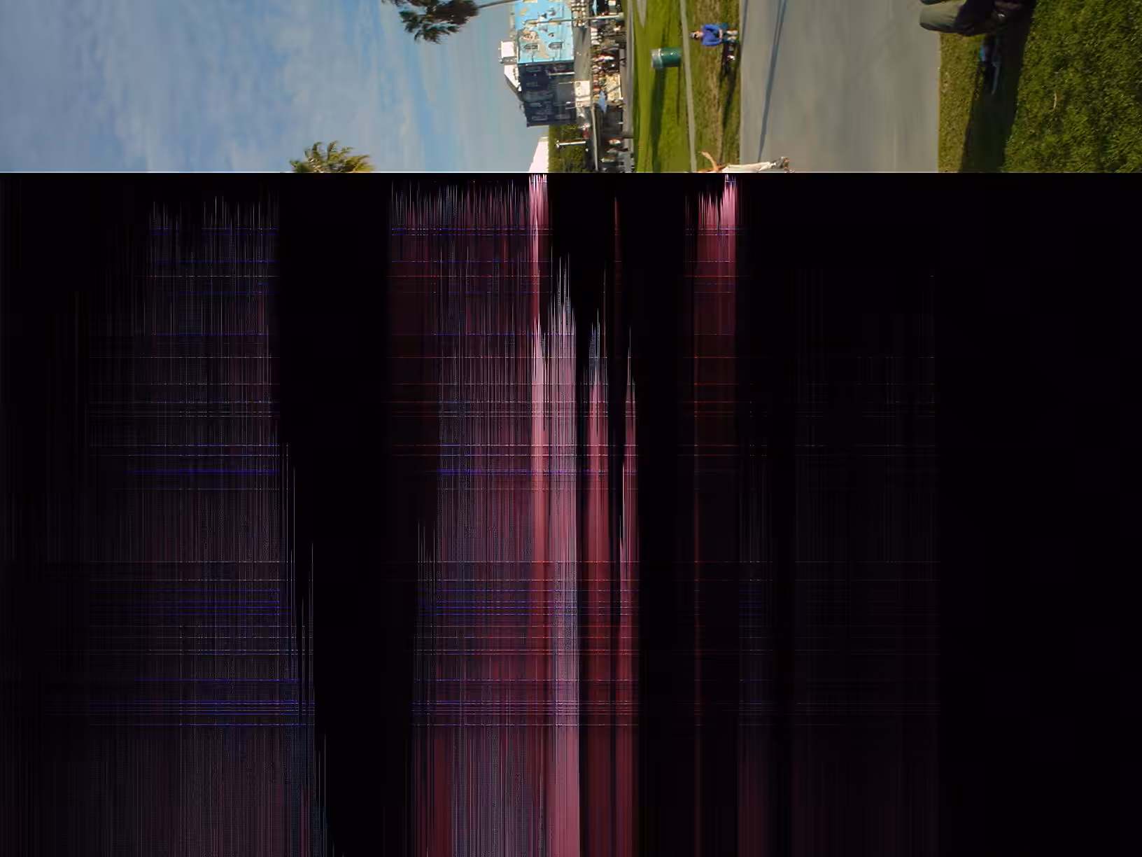venice beach