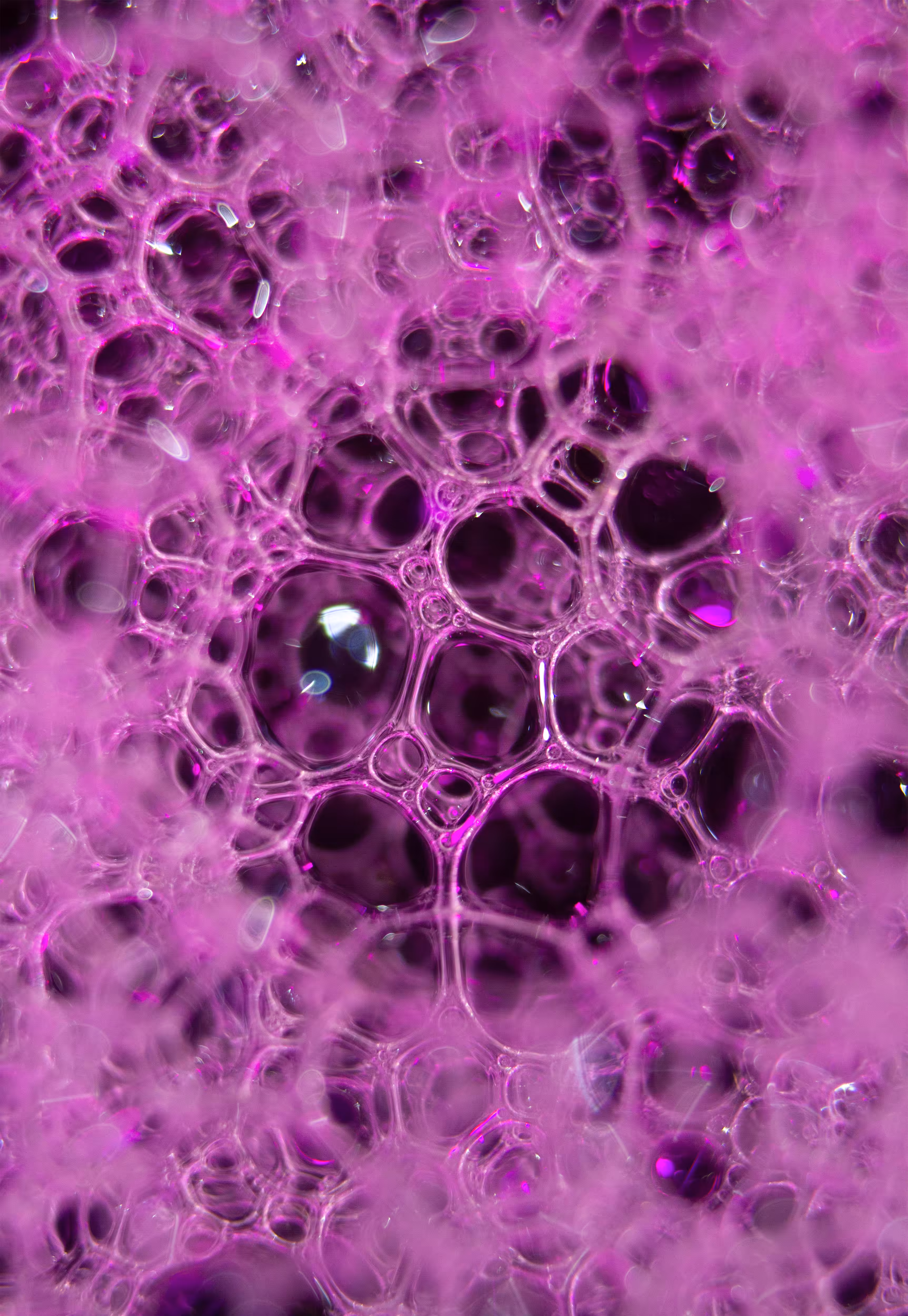 #23 Bubbles