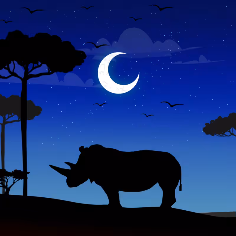 We Care...Rhinoceros #3