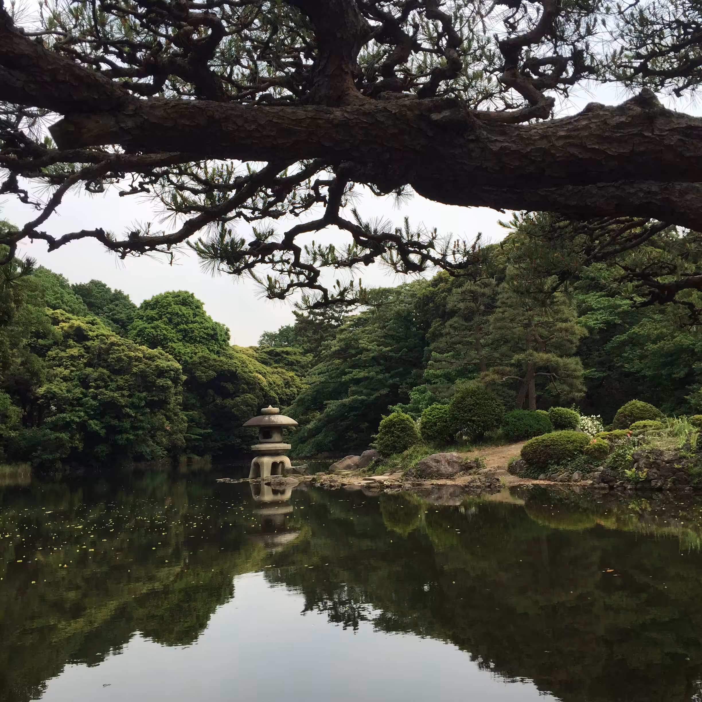 Tokyo Stillness