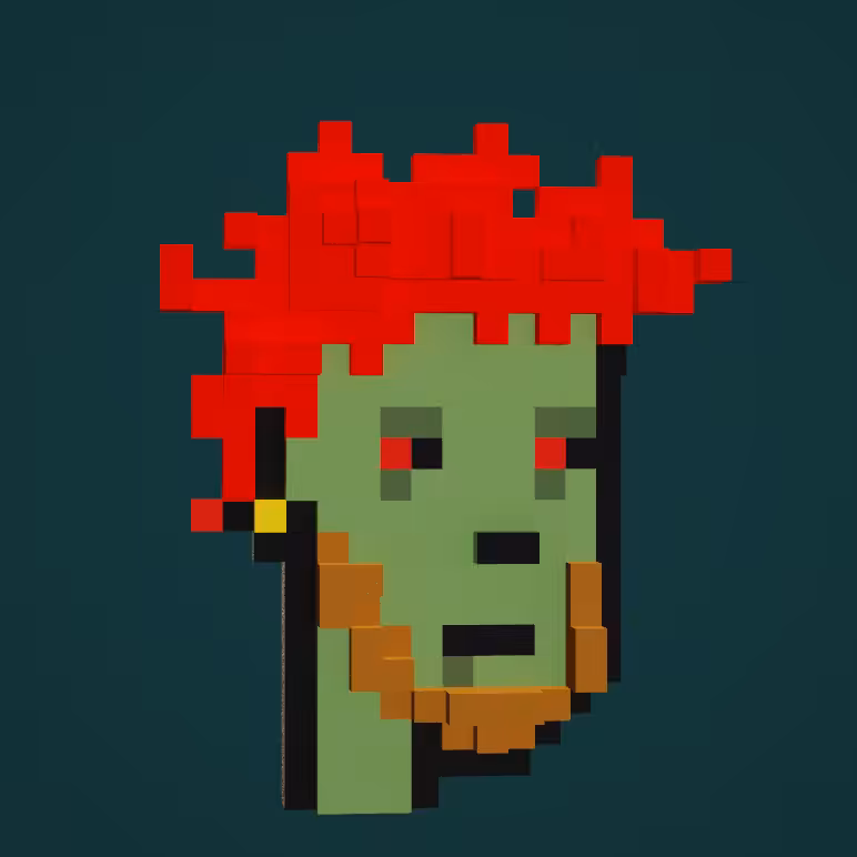 Crypto Voxel Punk - Oregon Smoker