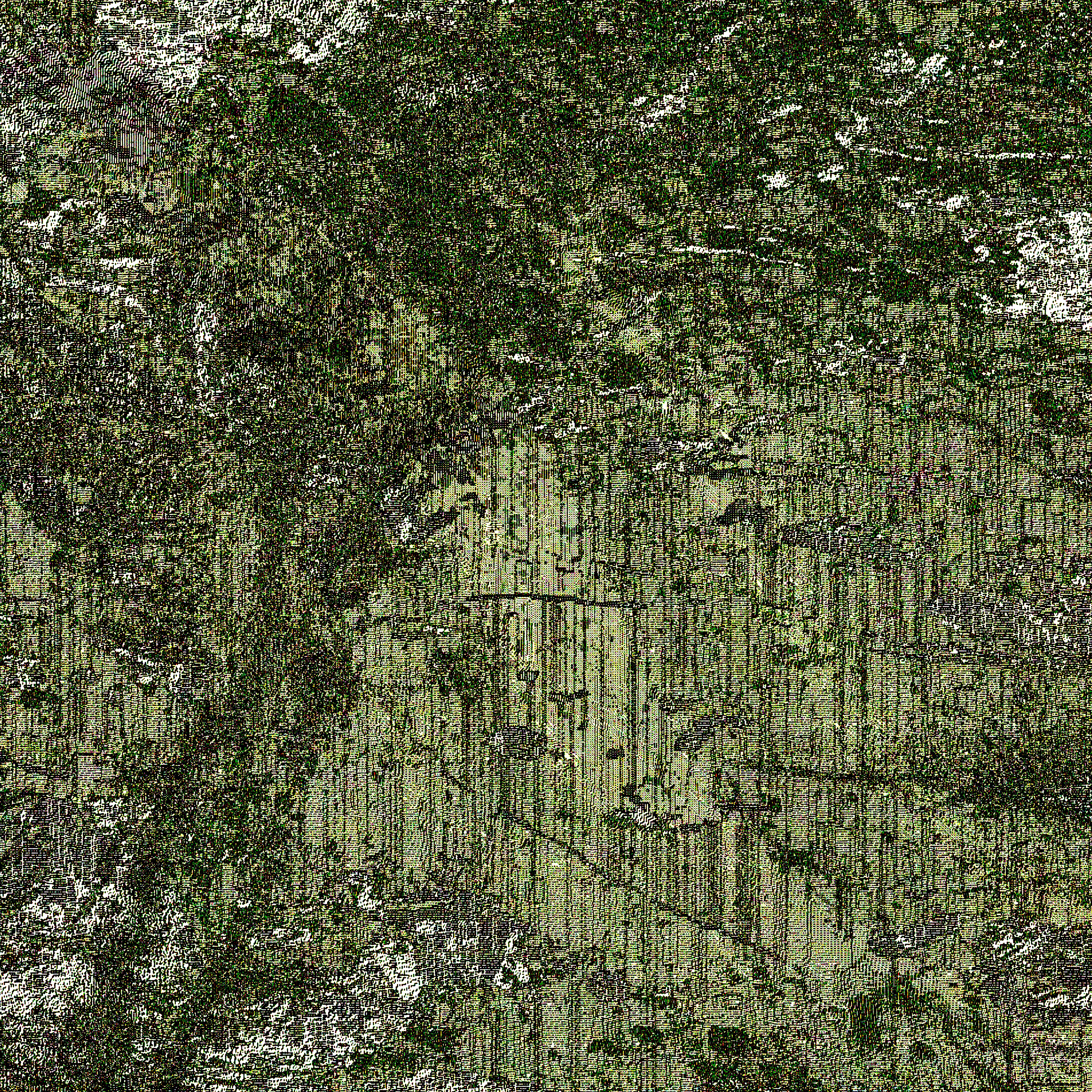 LM005