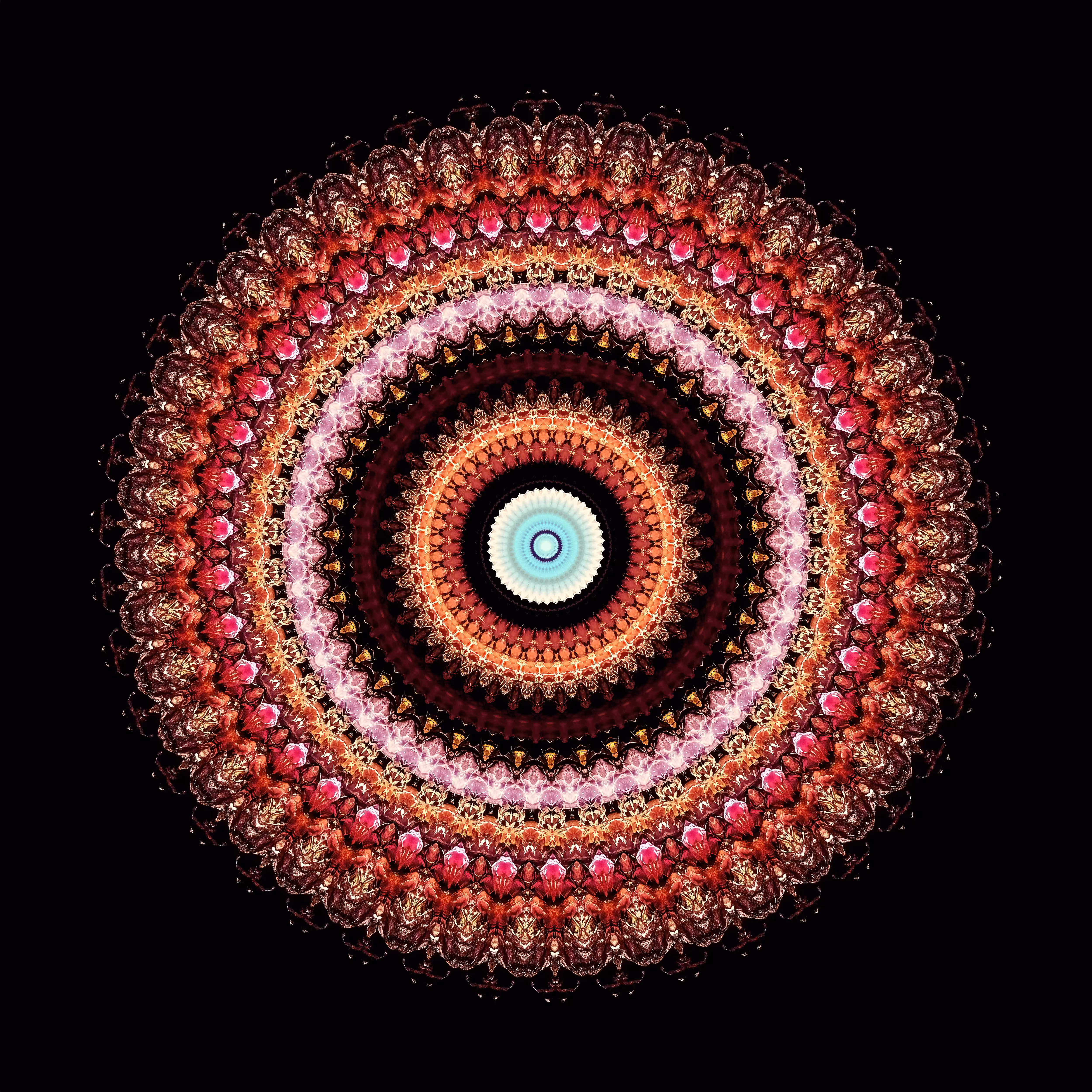 Form Constant 001