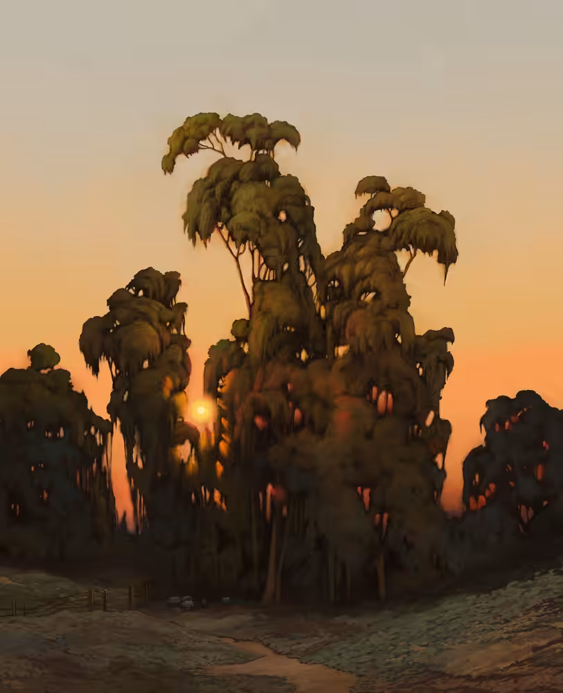 Trees in Sunset