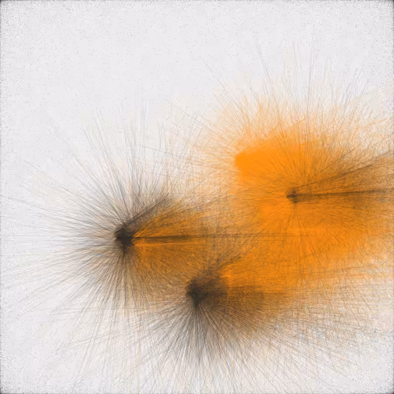 urchin #81