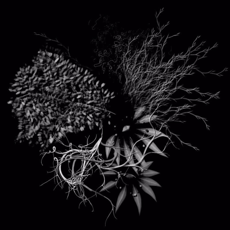Botanical Ghosts #4