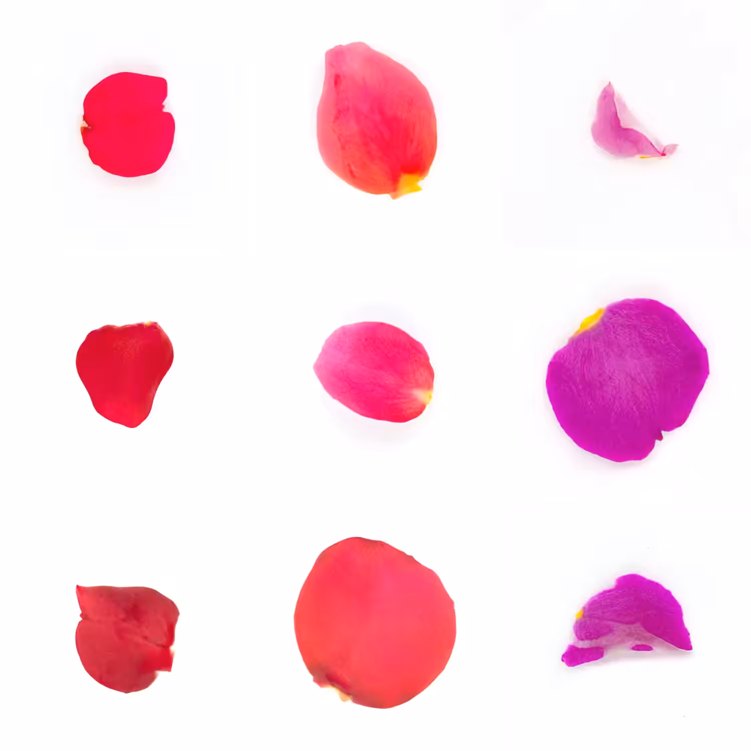 Infinite Petals 3x3#3326